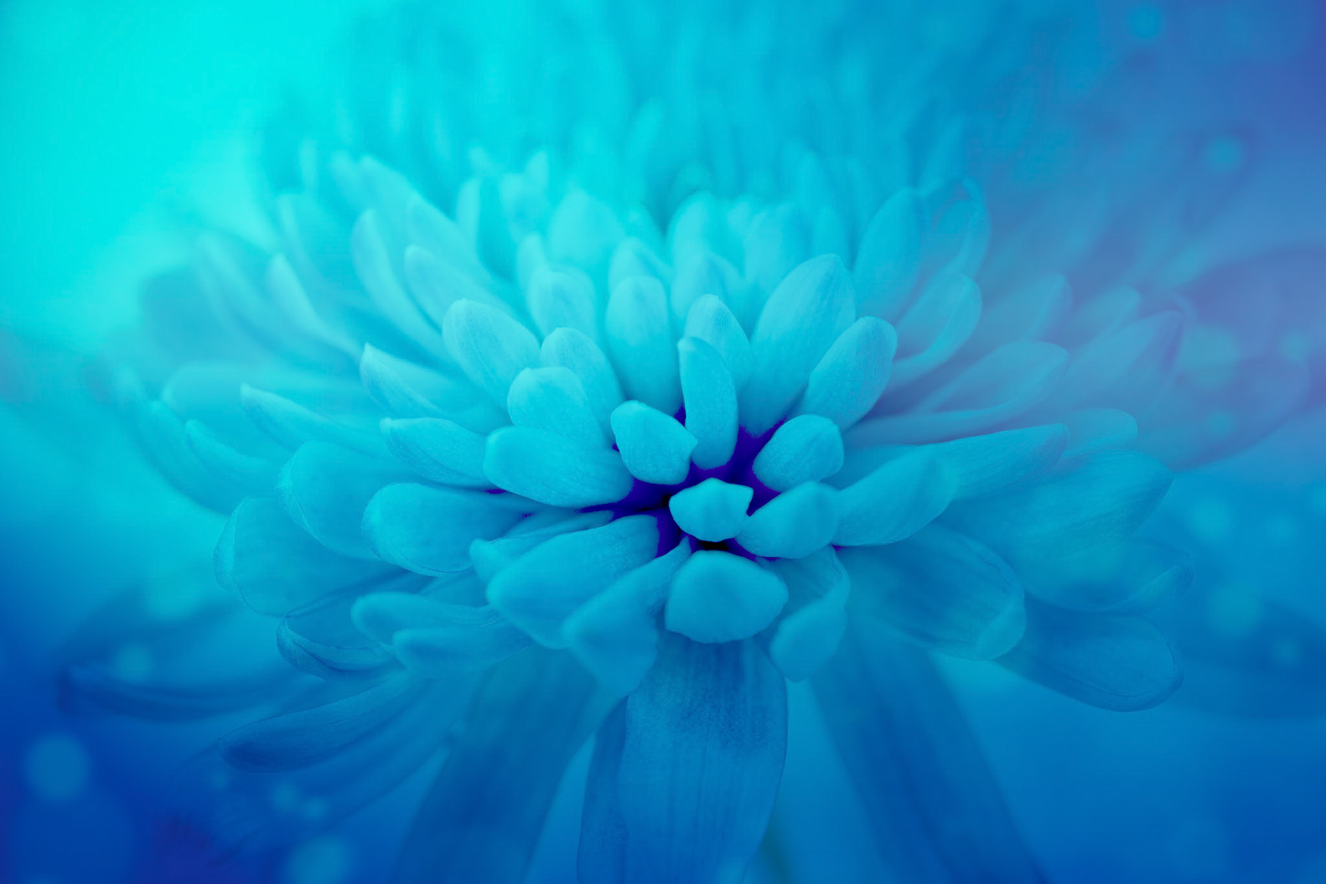 W0033