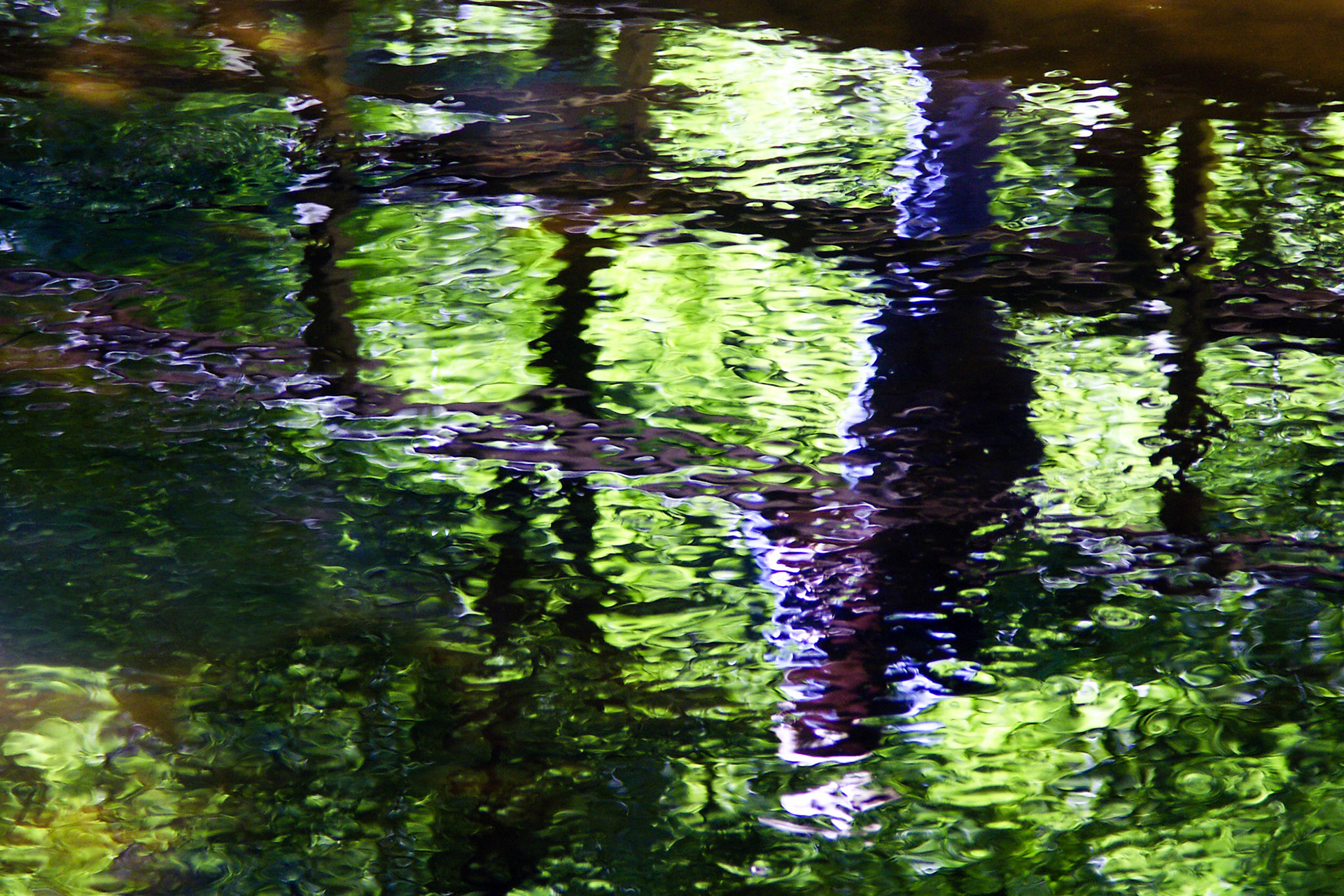 KONICA MINOLTA DIGITAL CAMERA