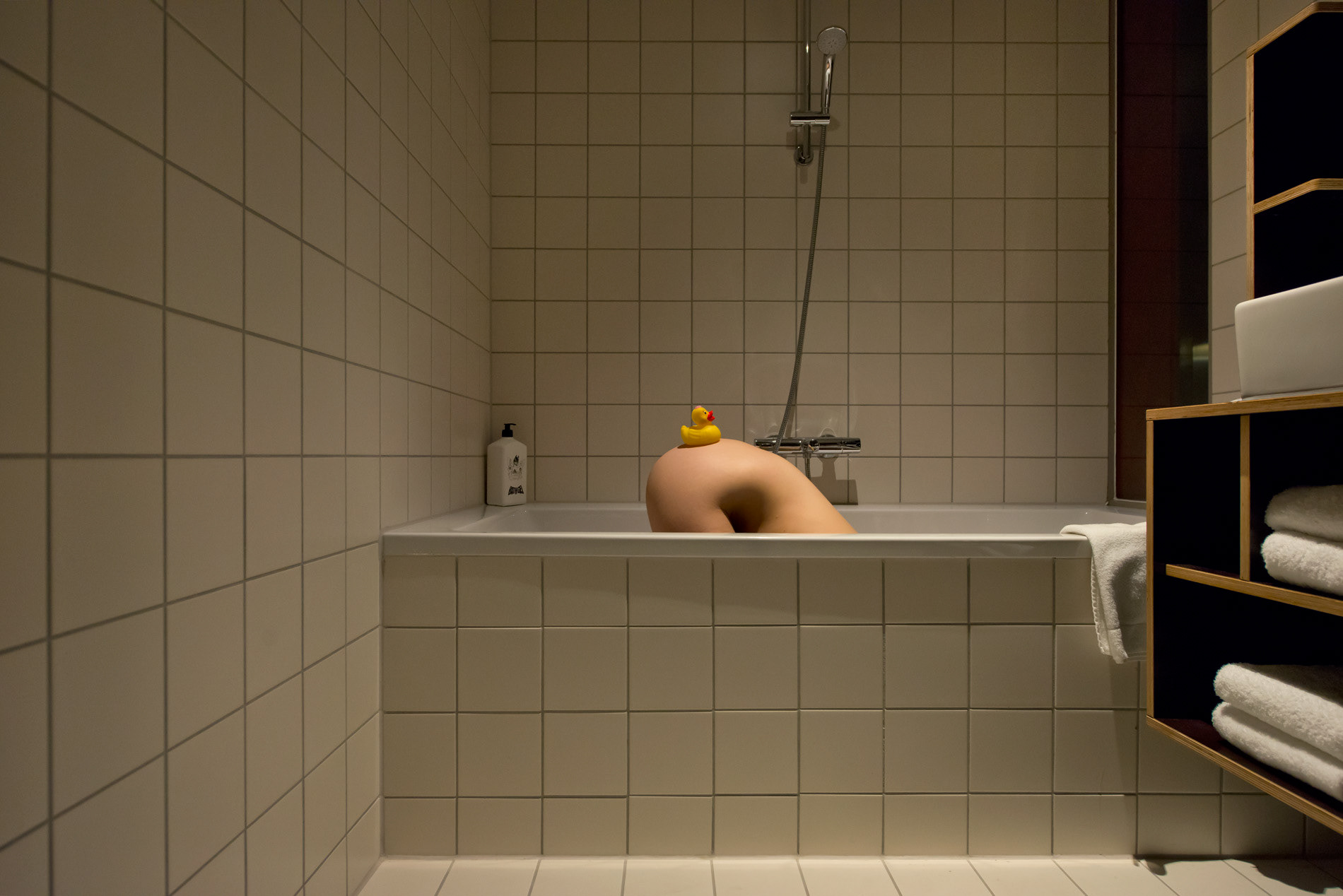 Duck