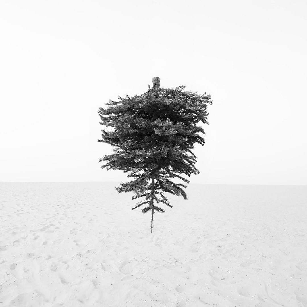 Human // Nature