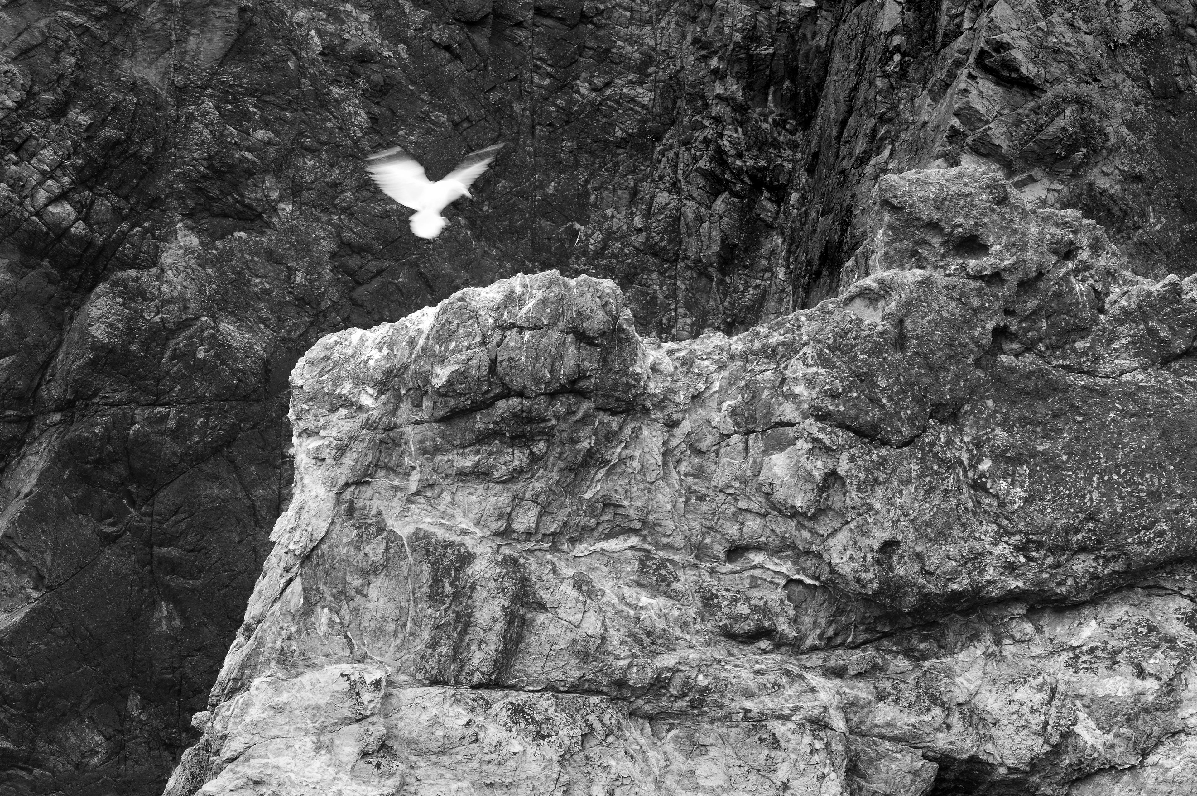 Four Corners (75). Archival pigment print on Arches 88