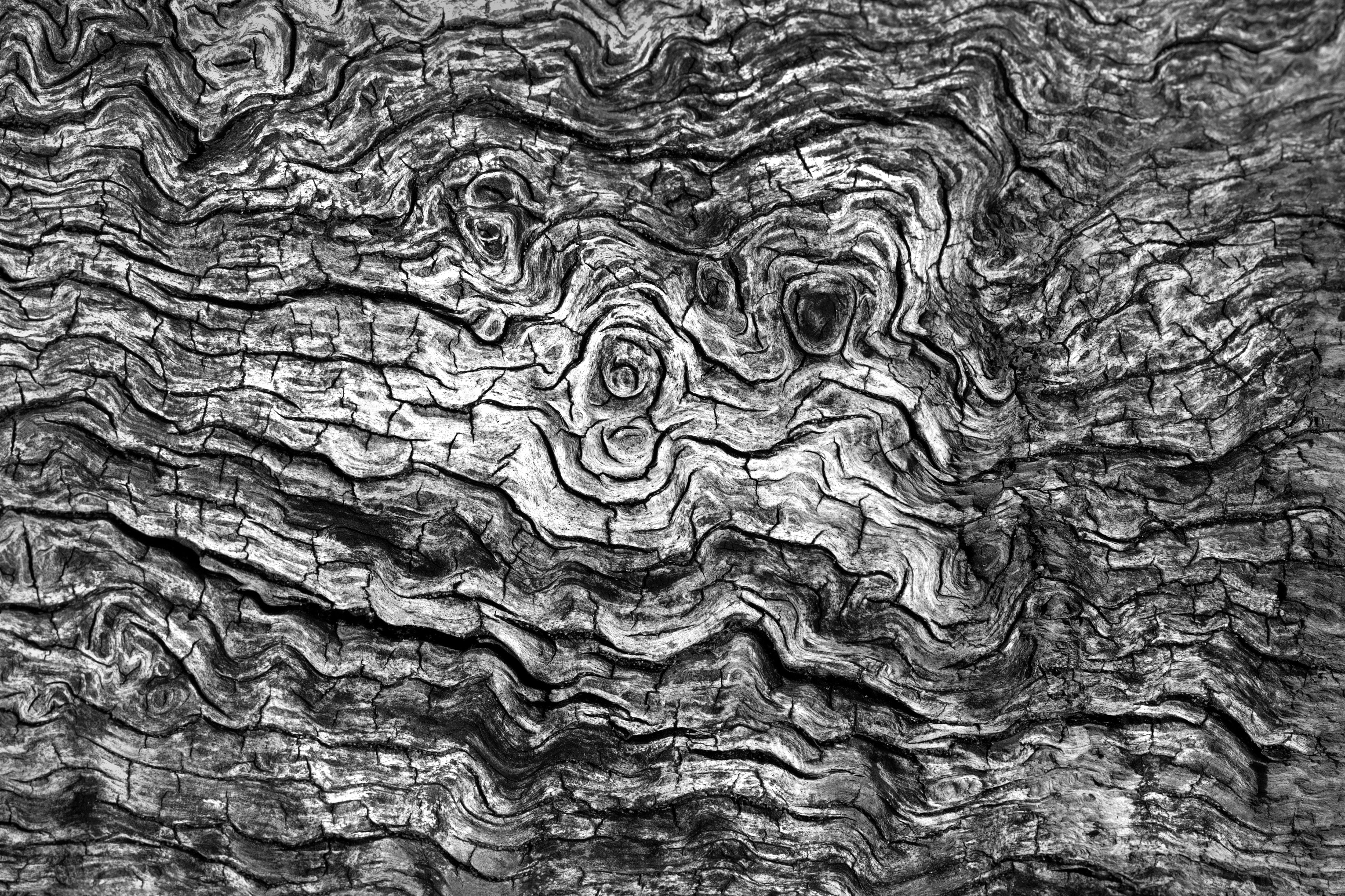 Four Corners (8). Archival pigment print on Arches 88
