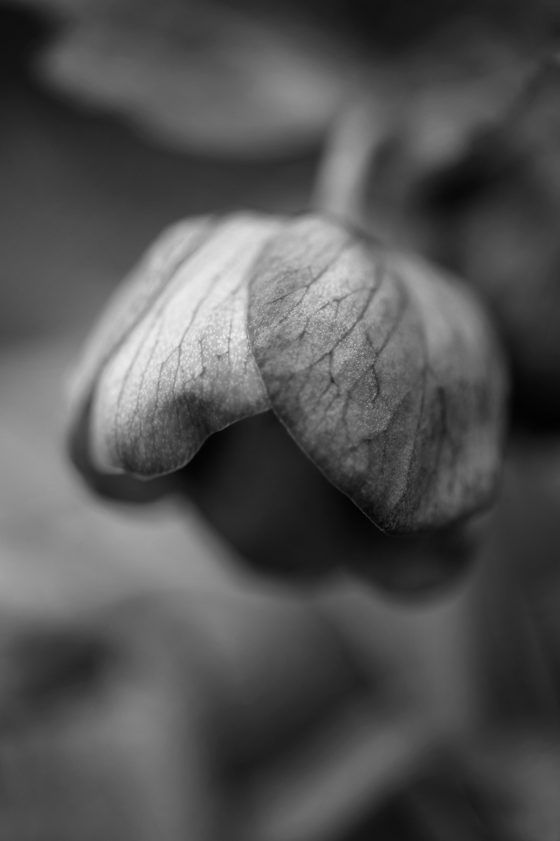 Four Corners (40). Archival pigment print on Arches 88