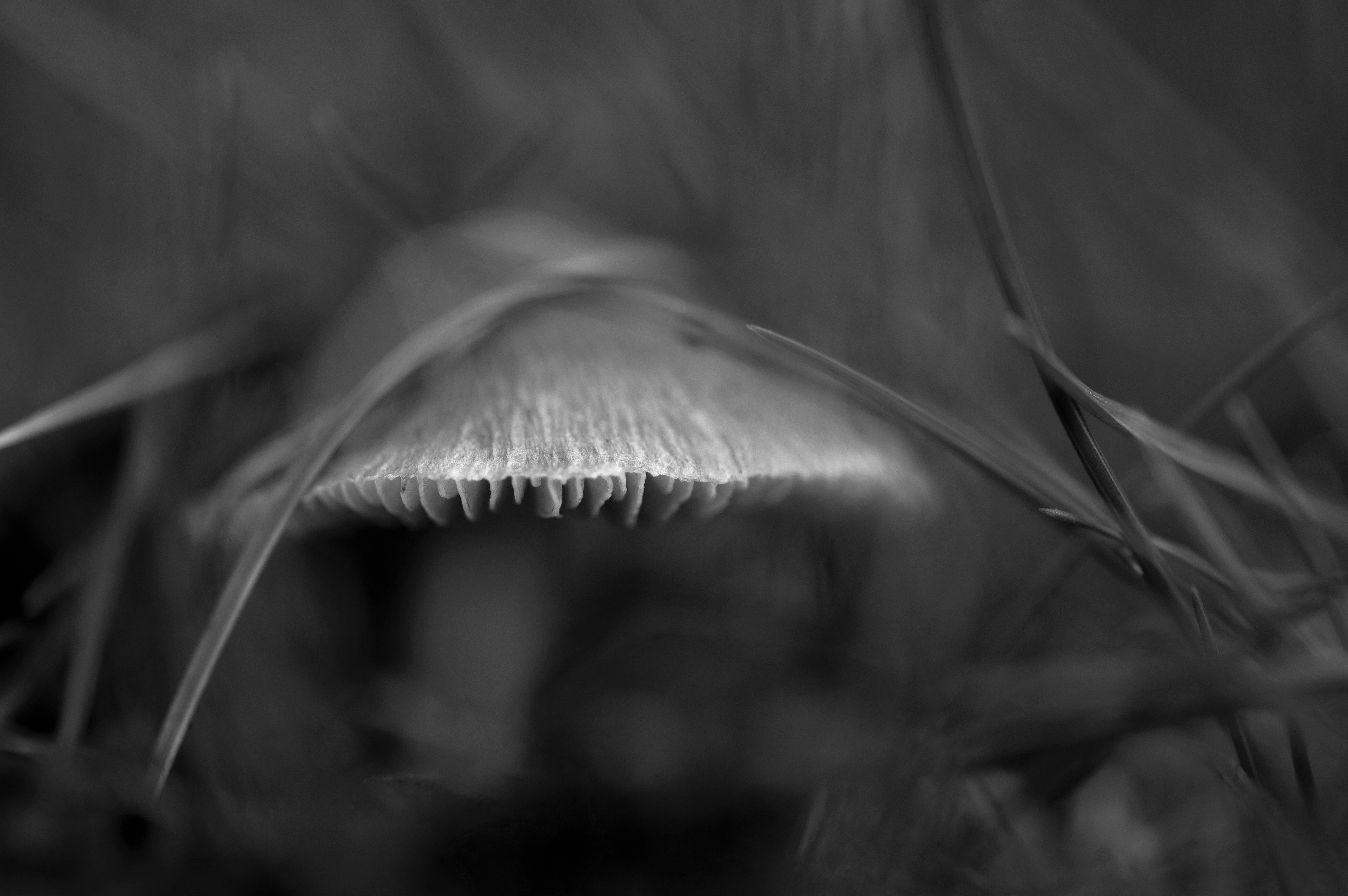 Four Corners (122). Archival pigment print on Arches 88