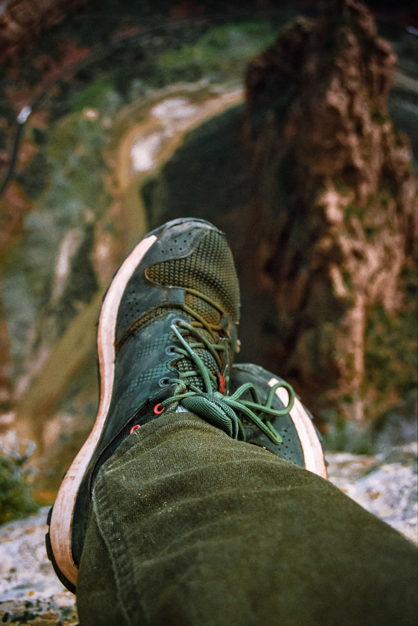 Autosave-File vom d-lab2/3 der AgfaPhoto GmbH