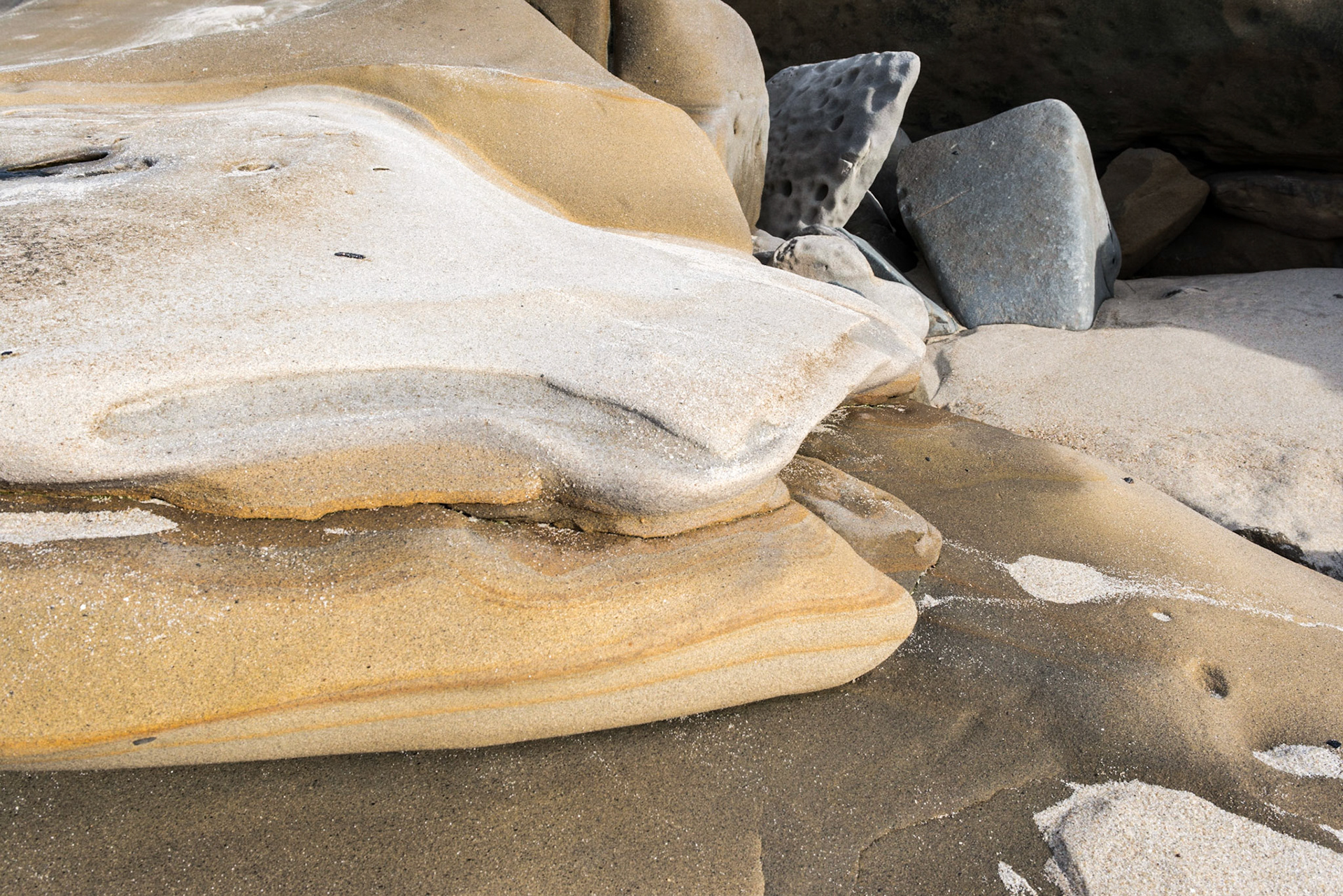 La Jolla Coastal Rock Study 17, 2015
