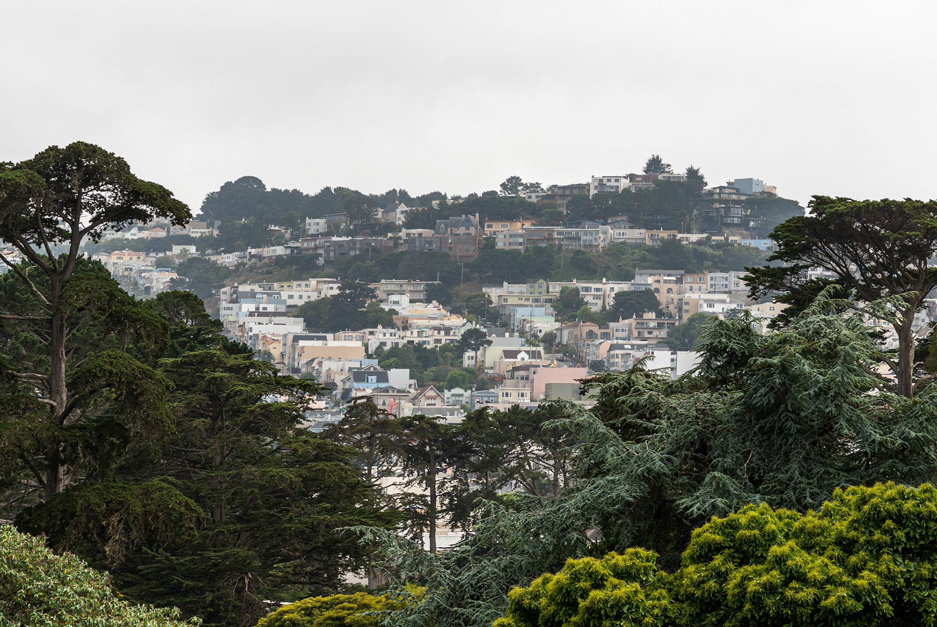 View from the  roof of the California Academy of Sciences, San Francisco, 2009