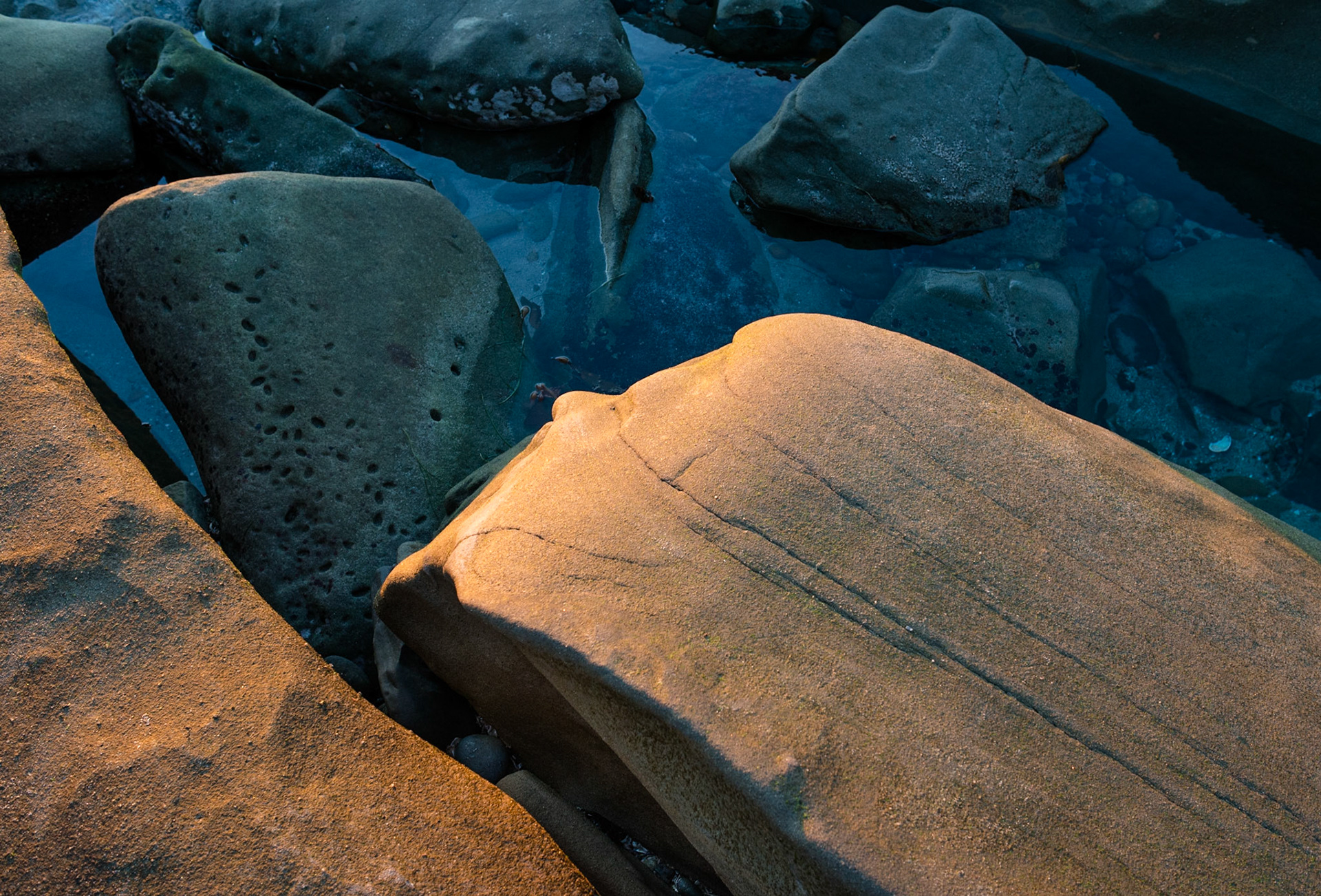 La Jolla Coastal Rock Study 7, 2015