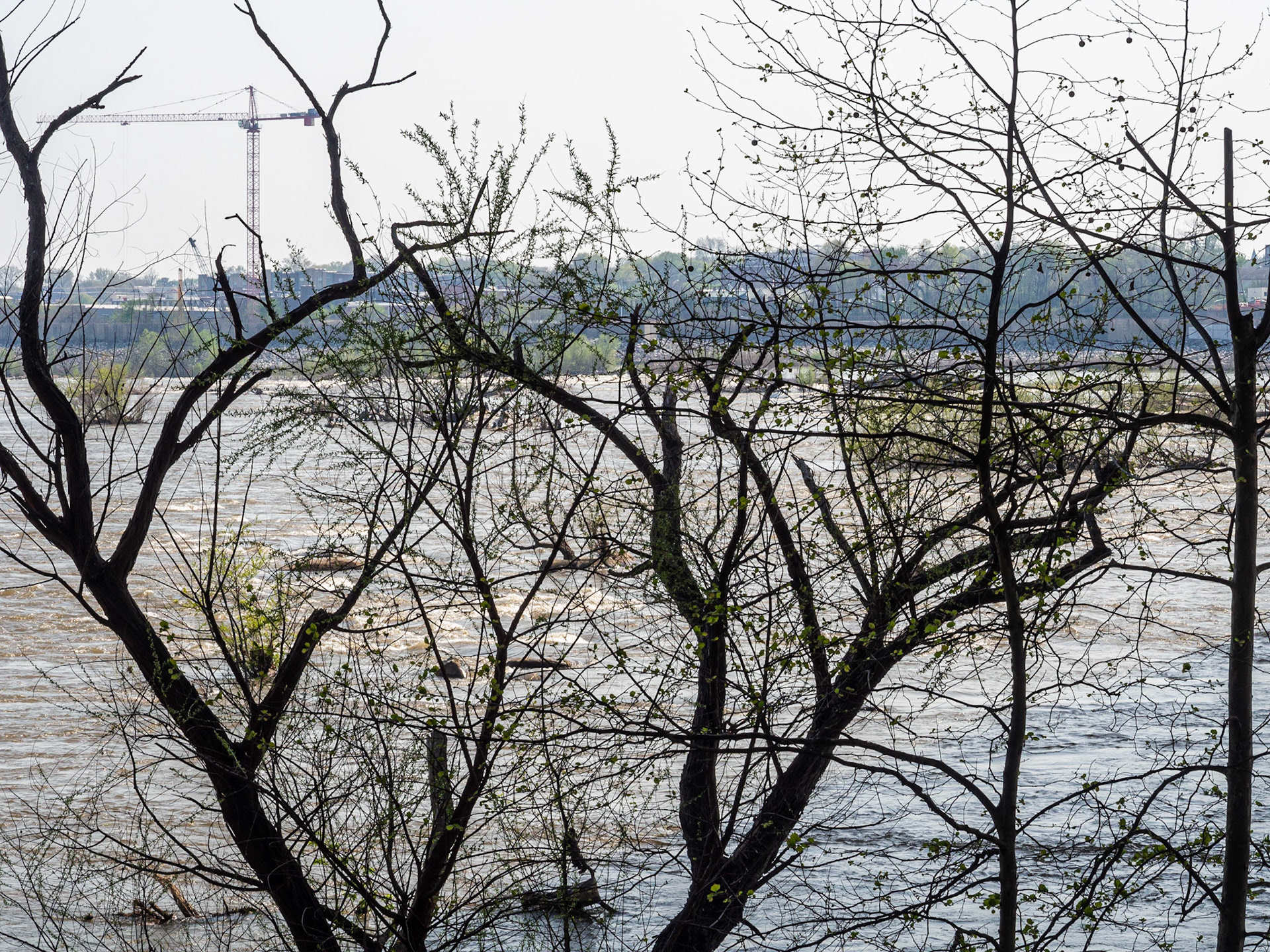 The James River, Richmond, 2017