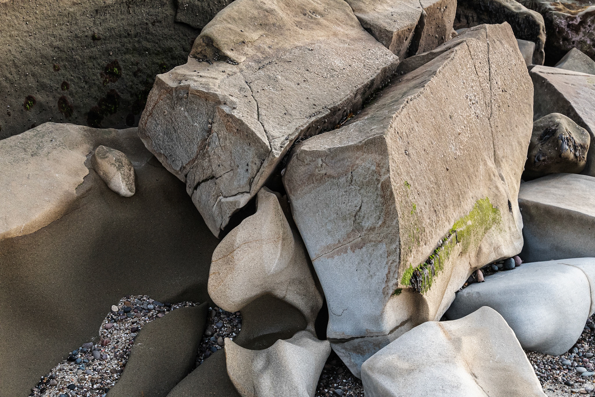 La Jolla Coastal Rock Study 36, 2018