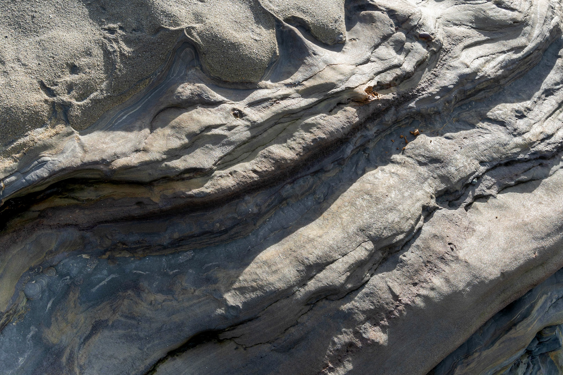 La Jolla Coastal Rock Study 37, 2019