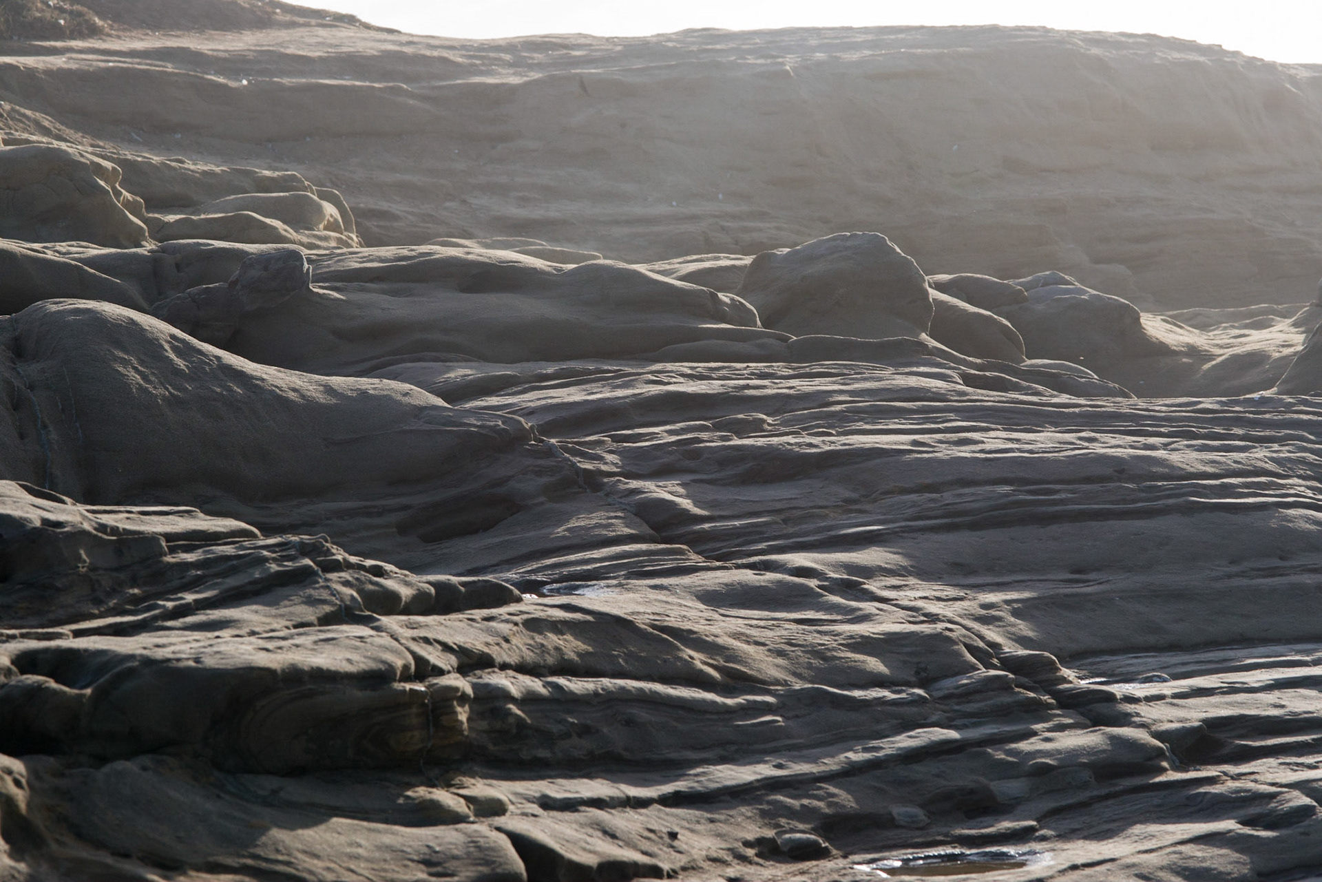 La Jolla Coastal Rock Study 5, 2014