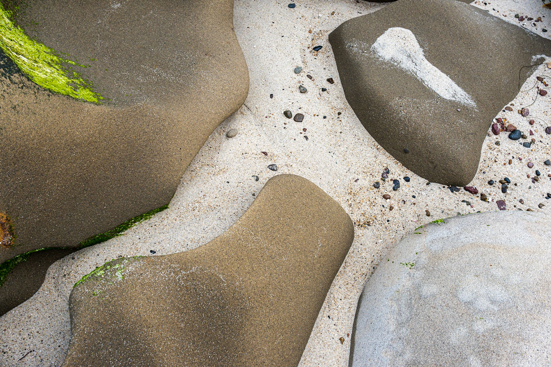 La Jolla Coastal Rock Study 16, 2015