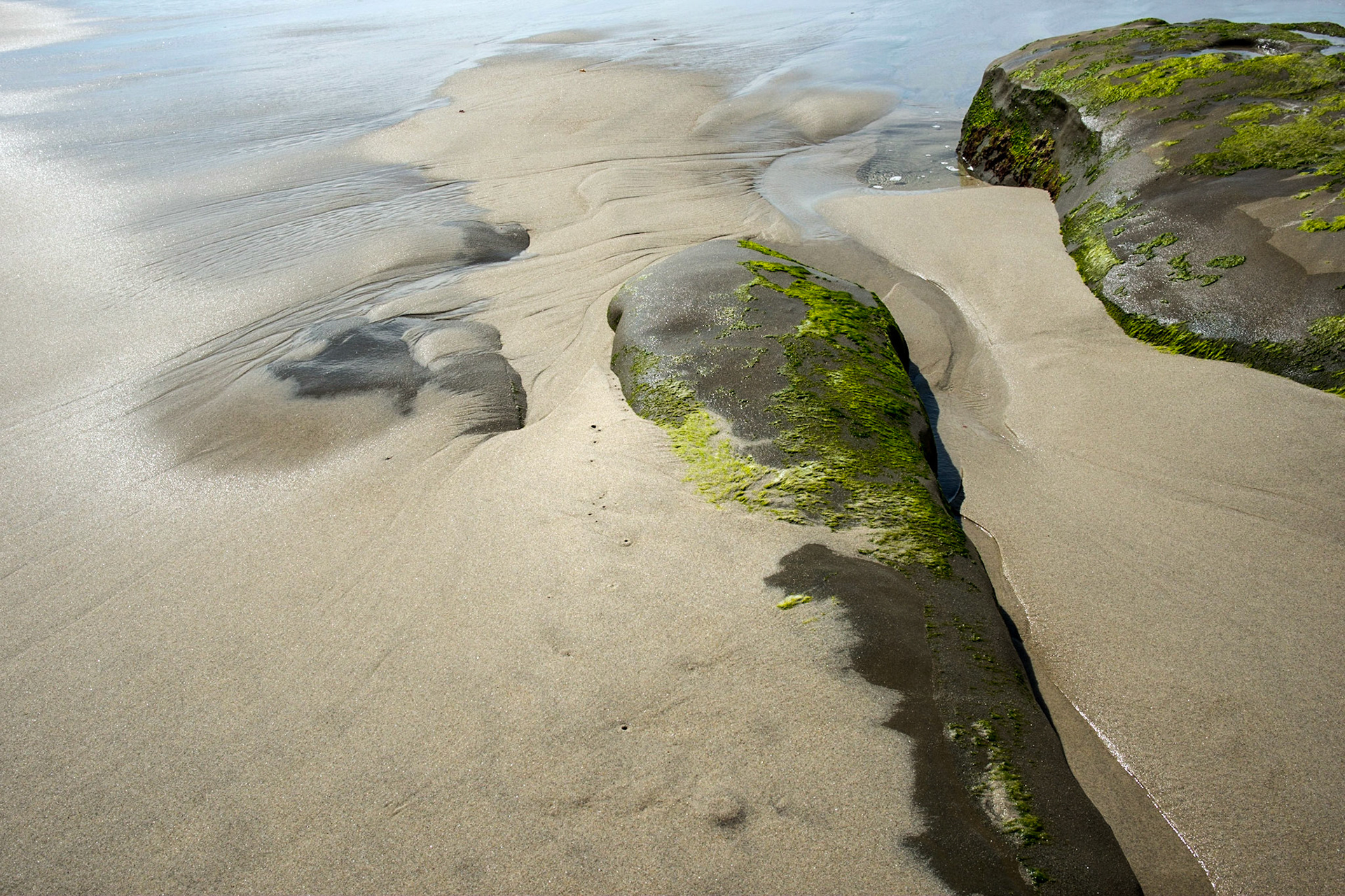 La Jolla Coastal Rock Study 27, 2016