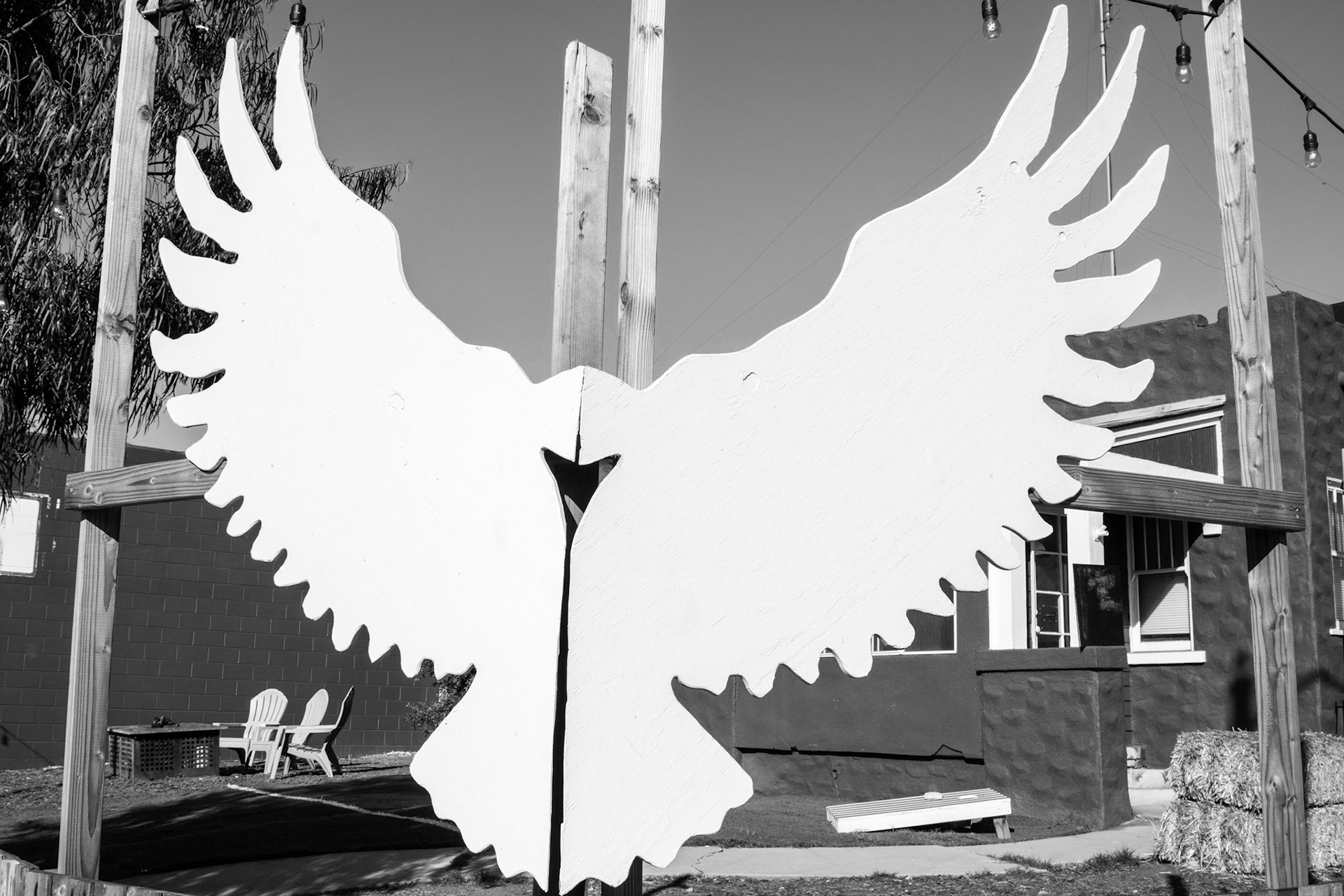 White Bird, North Park, San Diego, 2018