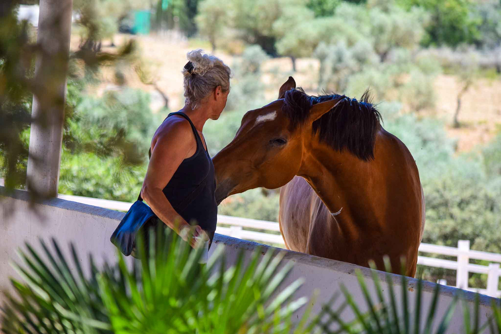 New Dressage Center in Andalusia