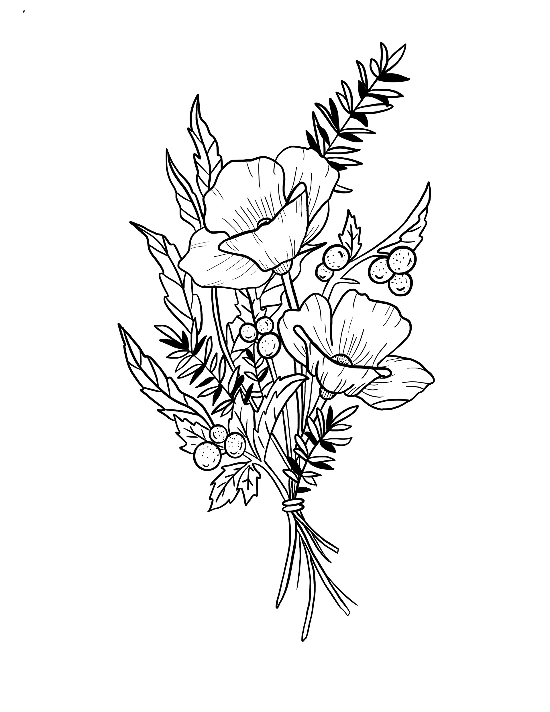 Hand drawn in Procreate.