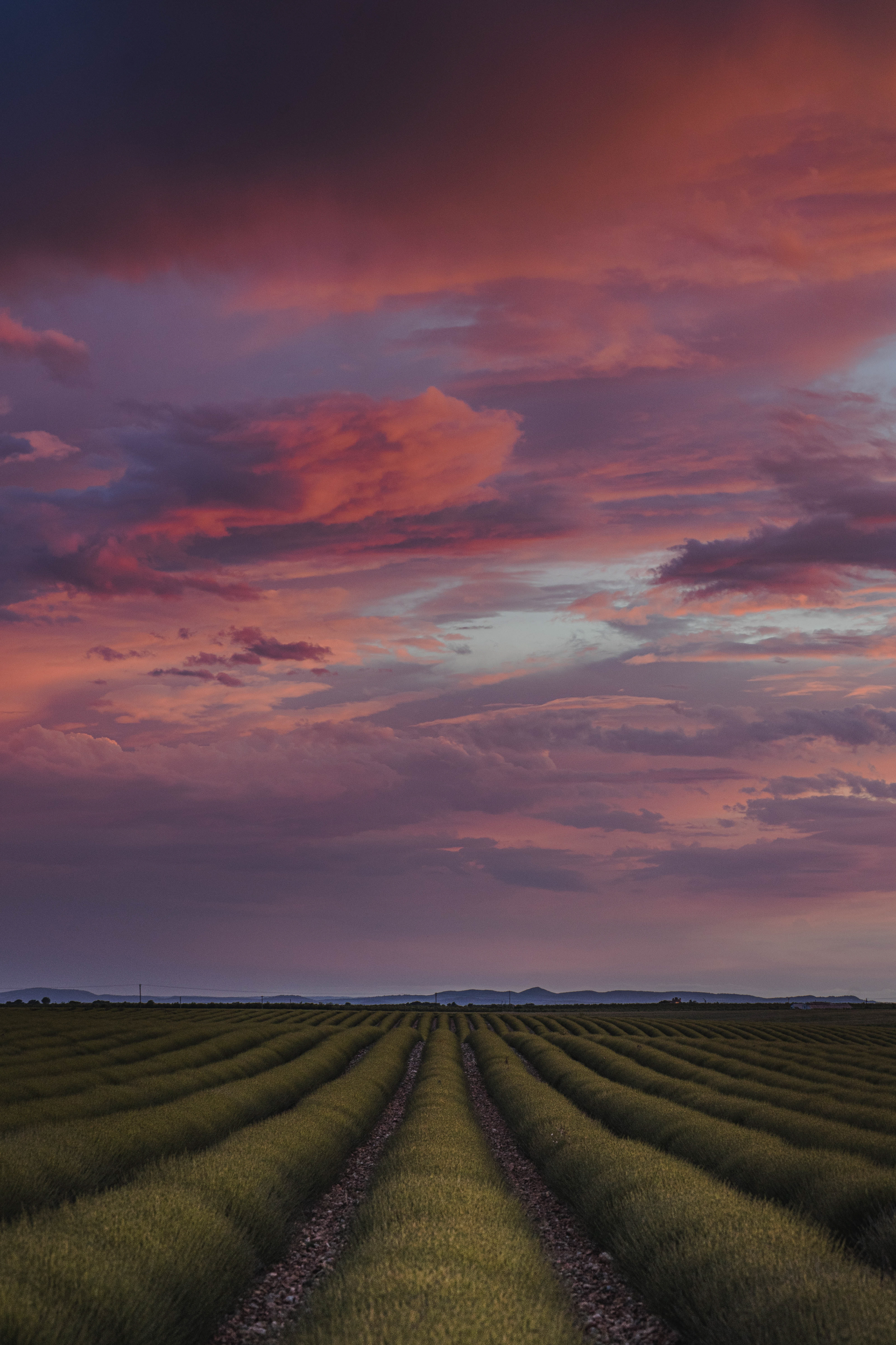 Provence, 2020