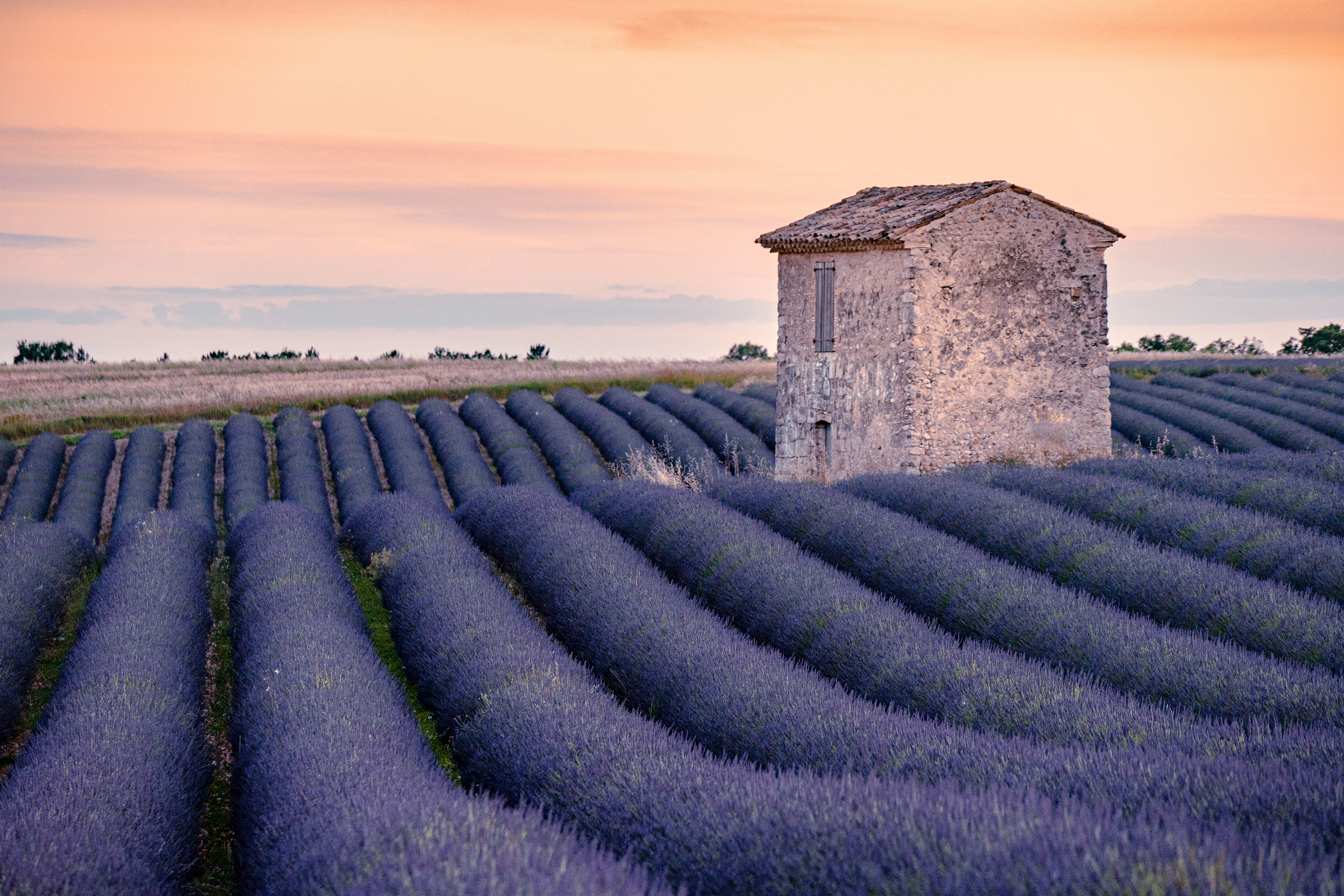 Provence, 2020