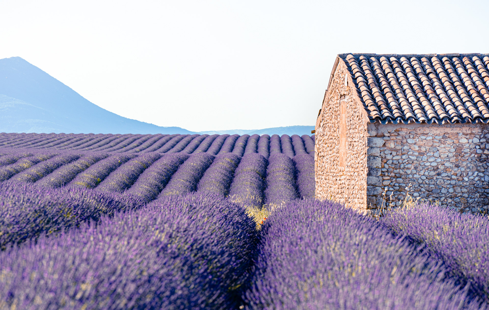 Provence, 2020