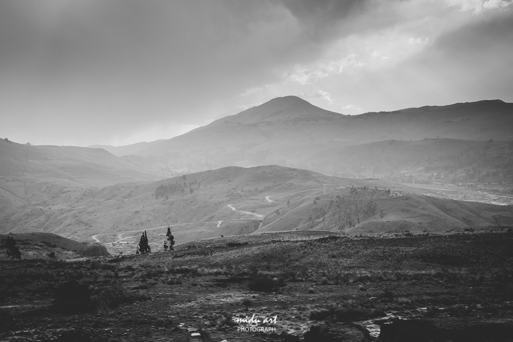 midu.art Photograph and videograph. The idea and concept of MIDU.ART was born in Berlin and constructs routes to relive the actual roots of original photography. The most important and attention catching factor of MIDU.ART is originality and rawness photos.