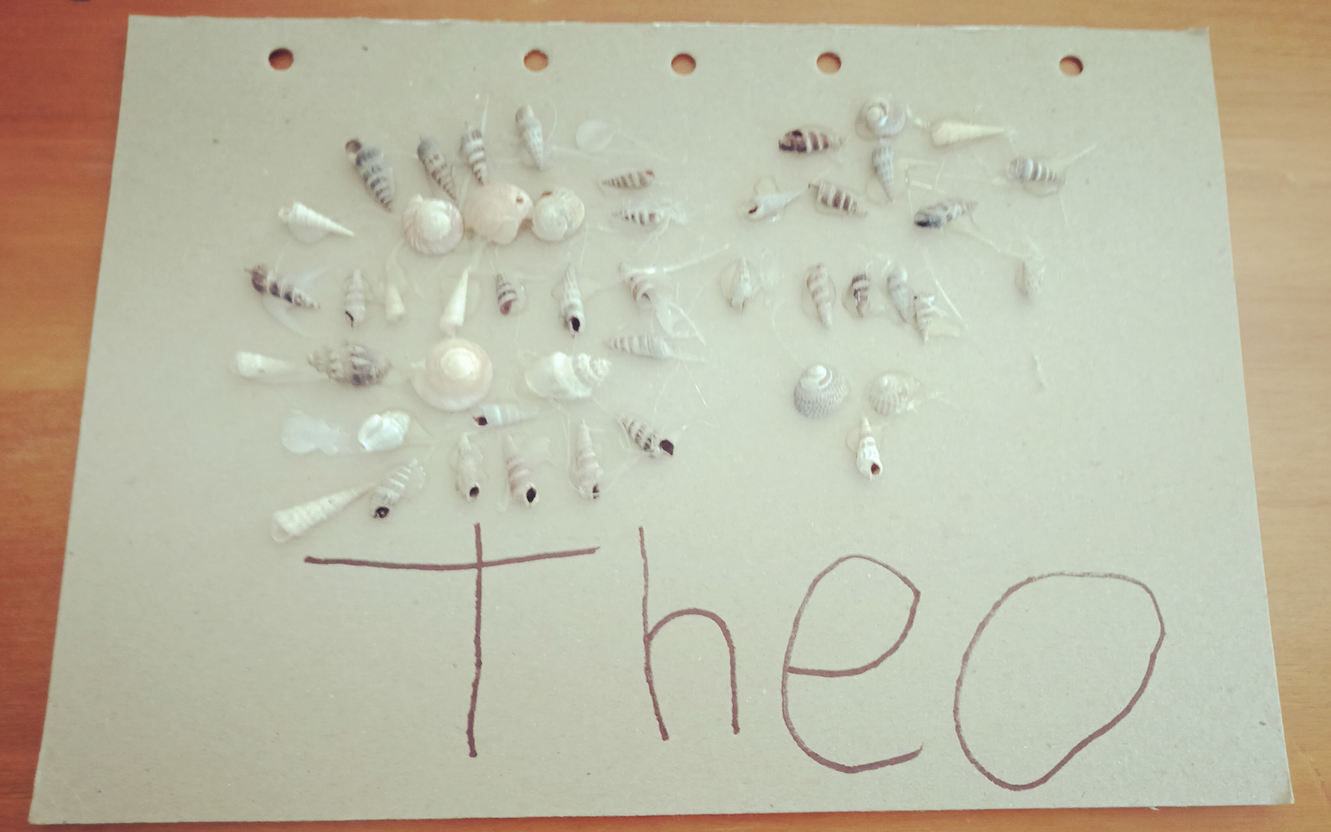 Theo Sandall-Wakim Rm 30