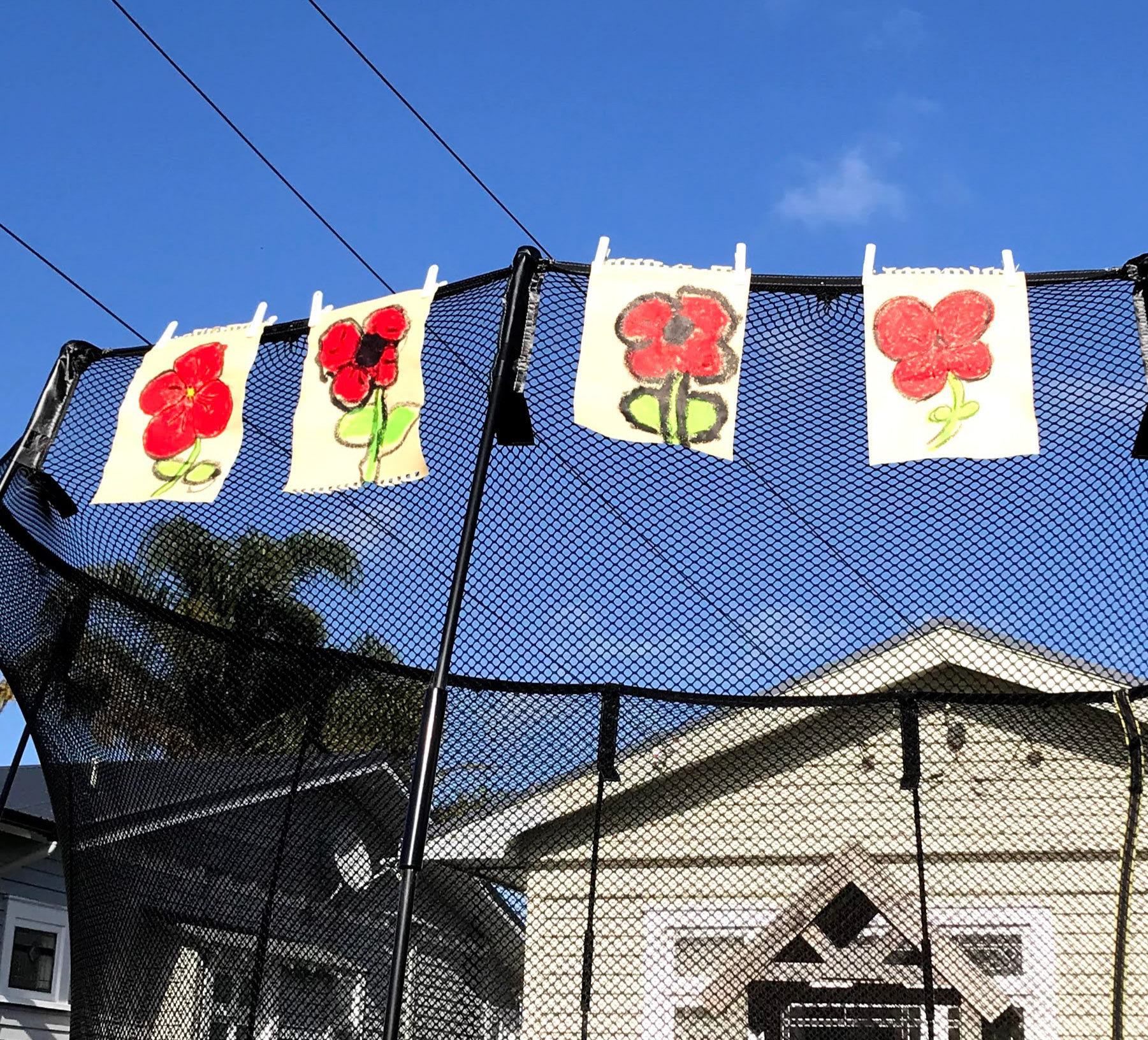 Seen on Pt Chev Road