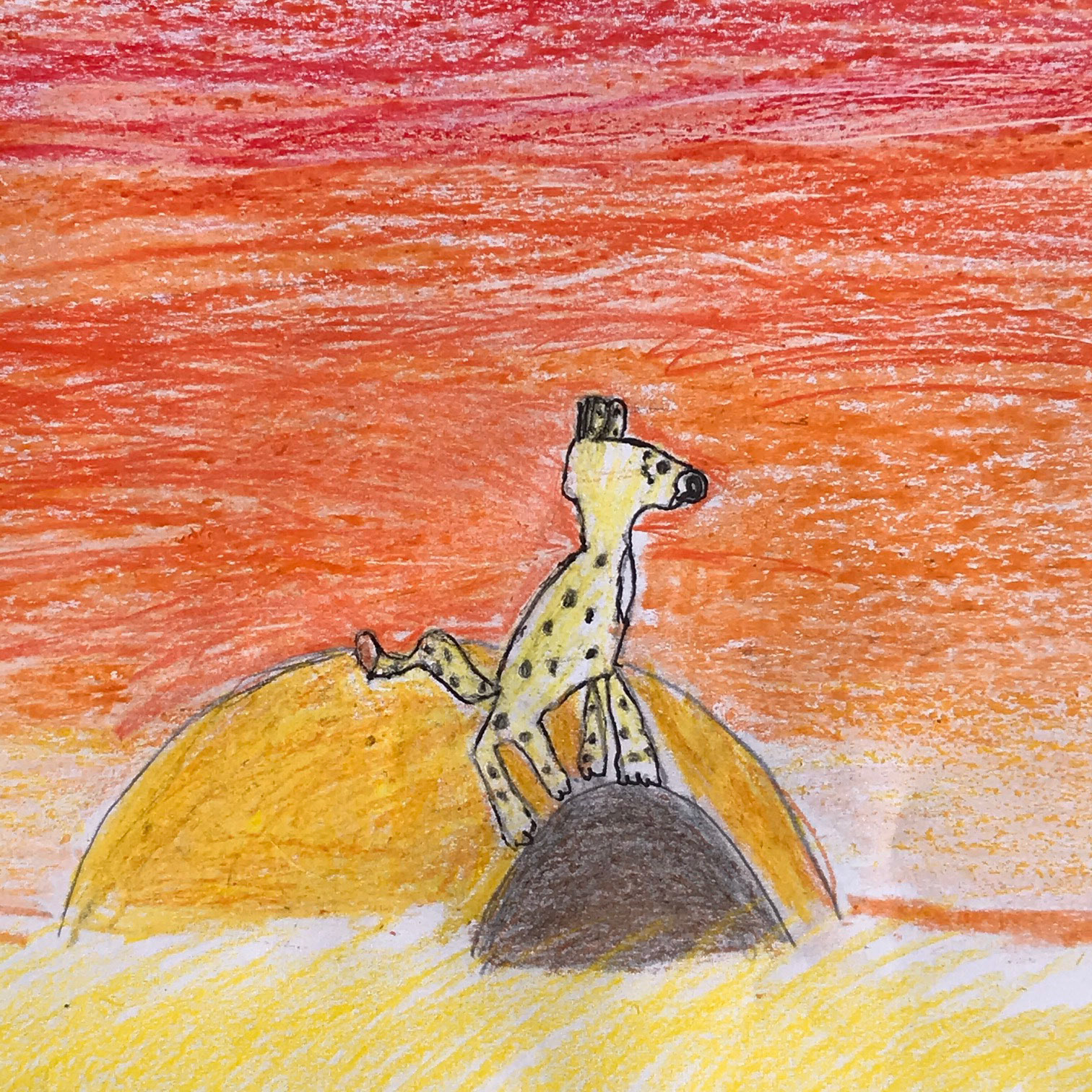 Catalina Fugon-Jara Rm 16