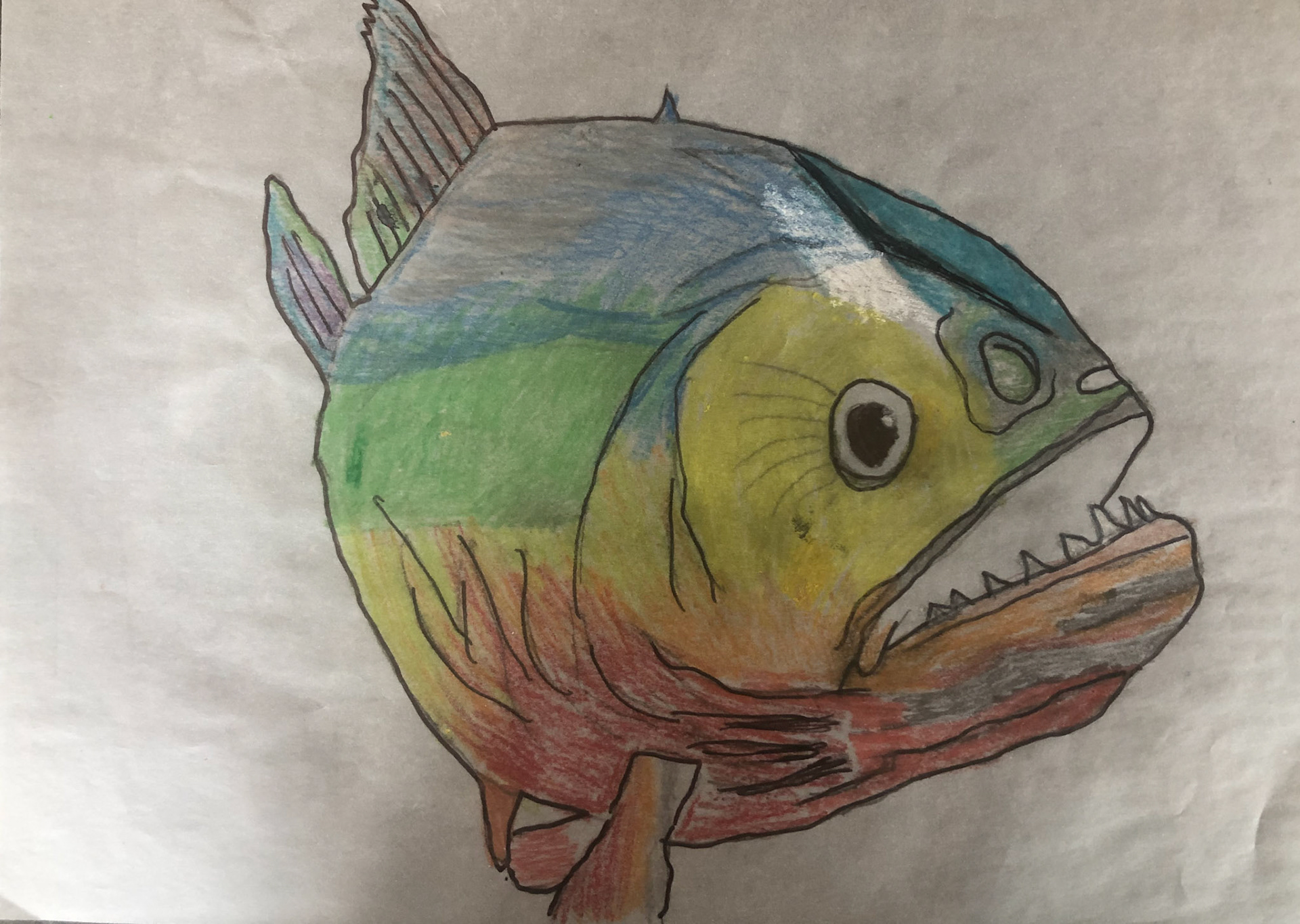 Marlow Koppenhagen Rm 16