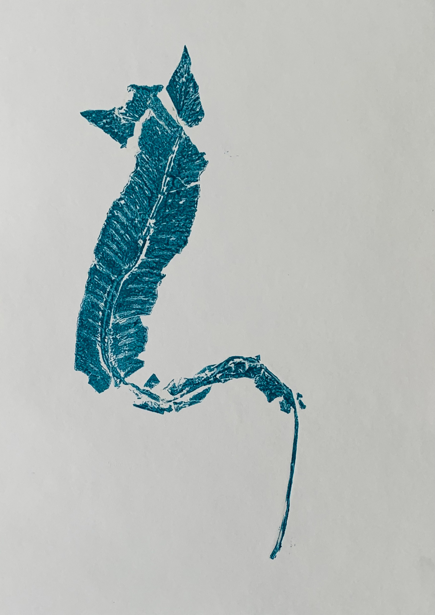 Collagraph on paper, 25.5 x 35 cm