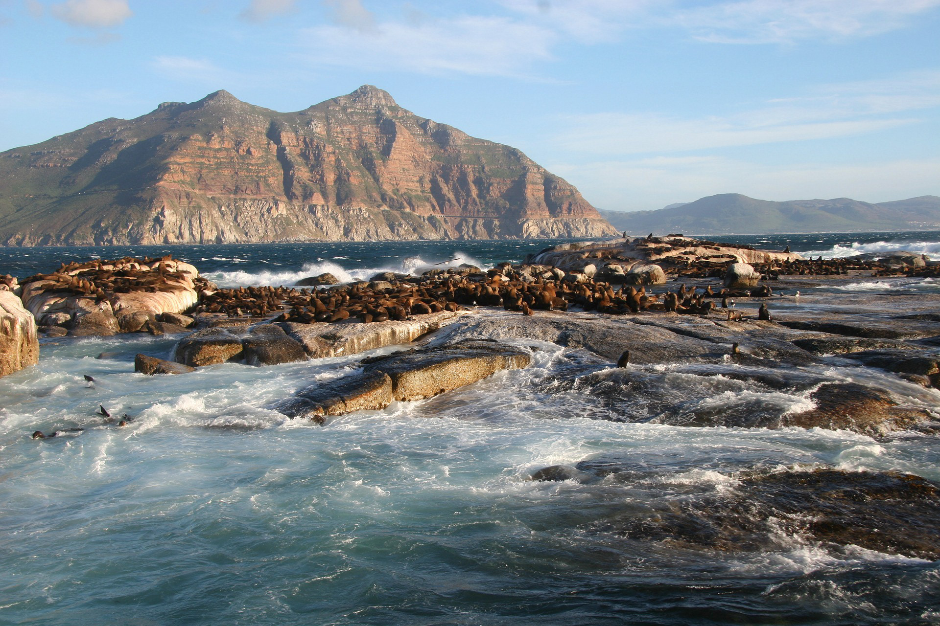 Duiker Island in South Africa