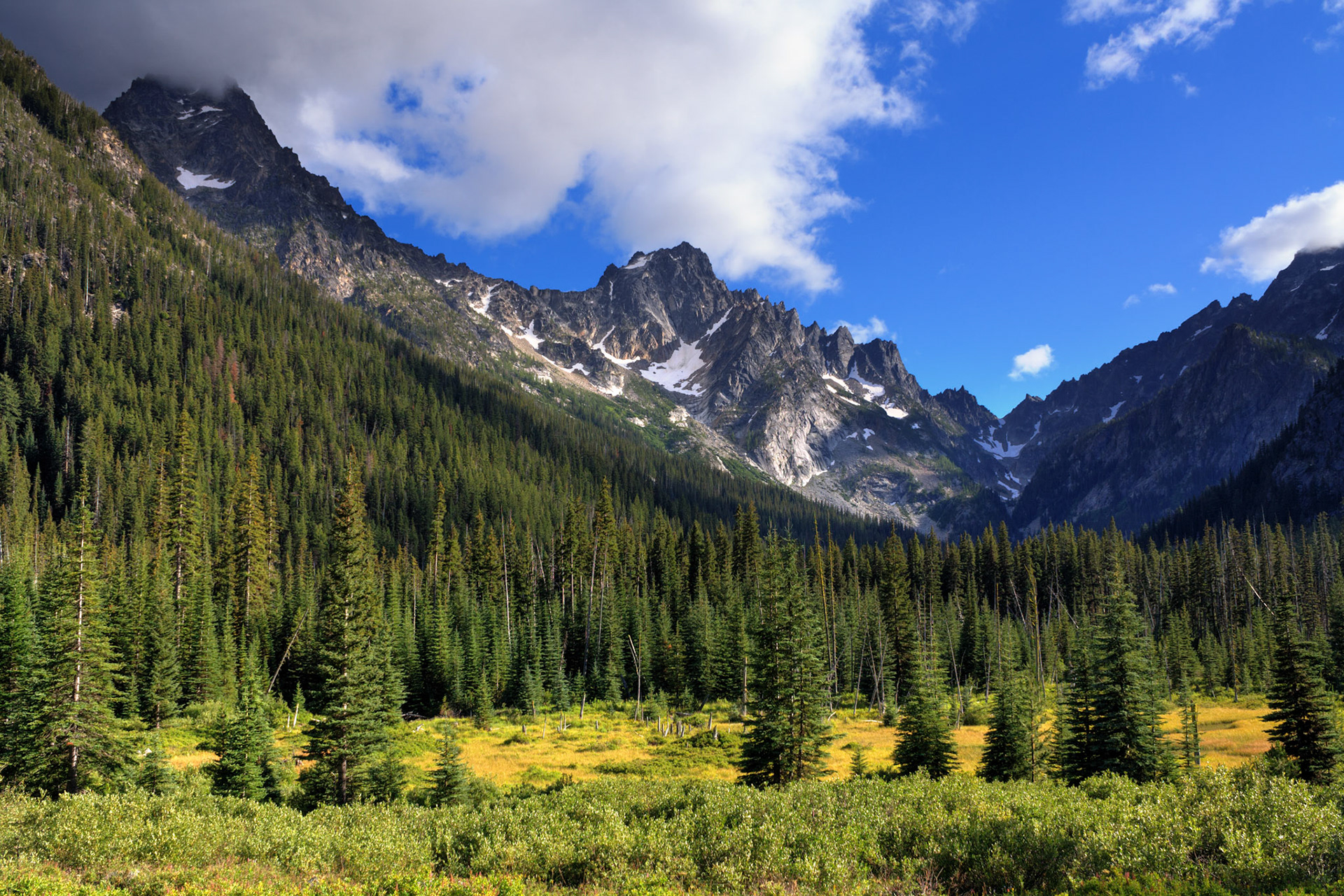 Colchuck Peak, Argonaut Peak, Mount Sherpa, and Mount Stuart from the Lake Stuart Trail, Alpine Lakes Wilderness, Washington
