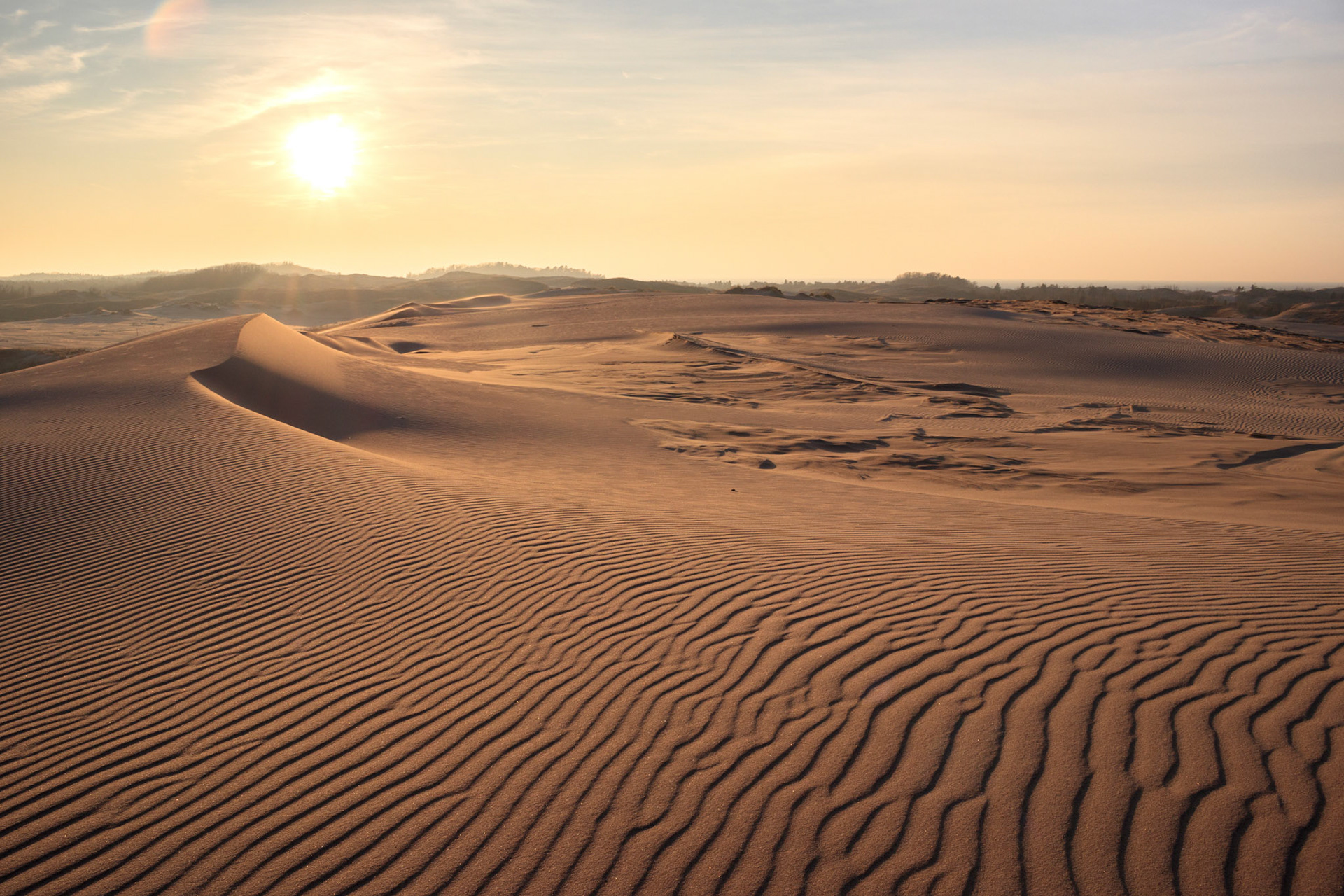 Silver Lake Sand Dunes, Silver Lake State Park, Michigan