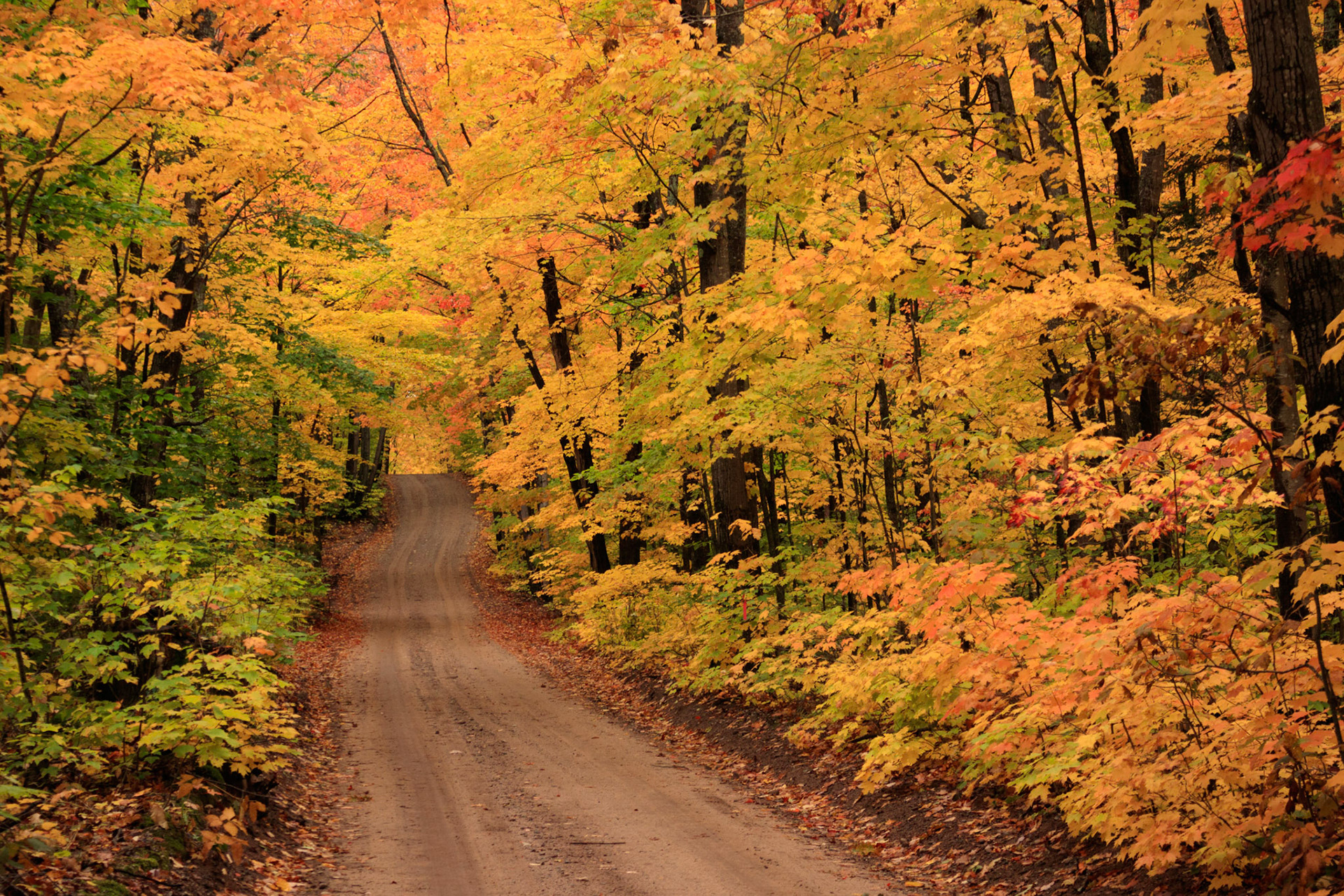 Fall colors over Tower Road, Hiawatha National Forest, Michigan