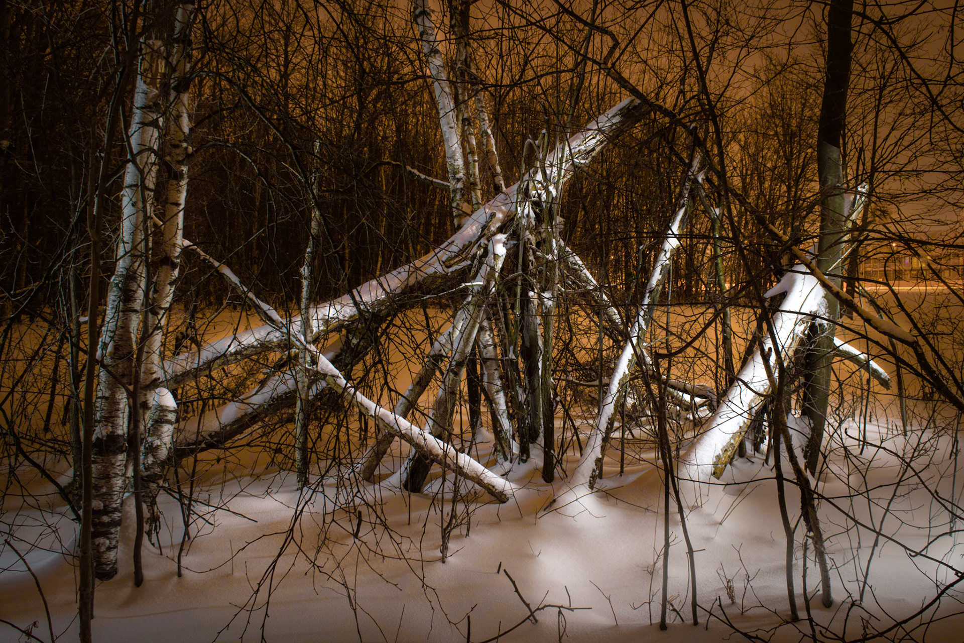I like this one because the trees are all broken and busted and covered with snow.