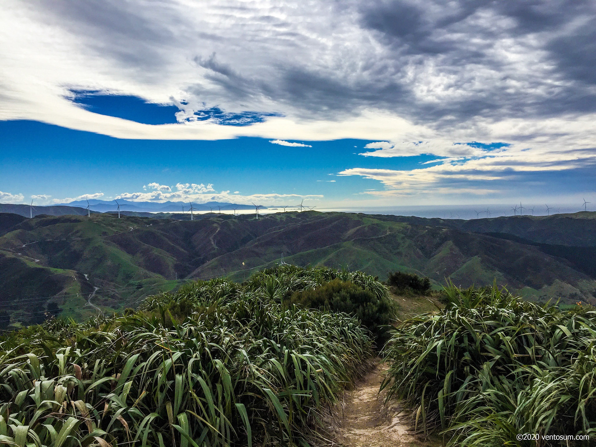 Makara Peak Mountain Park, Wellington, New Zealand