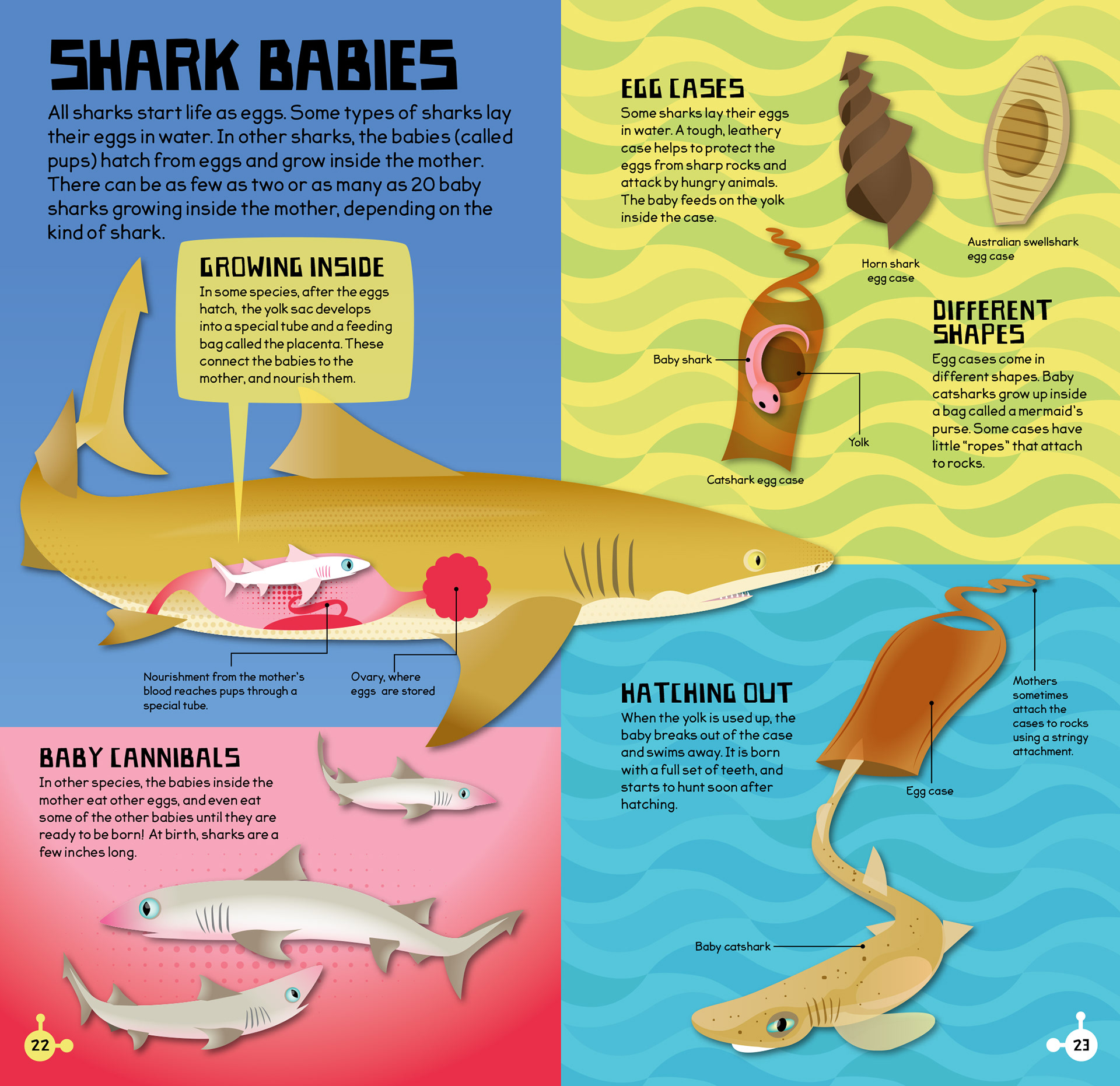 Mark Ruffle - Make and Move Sharks