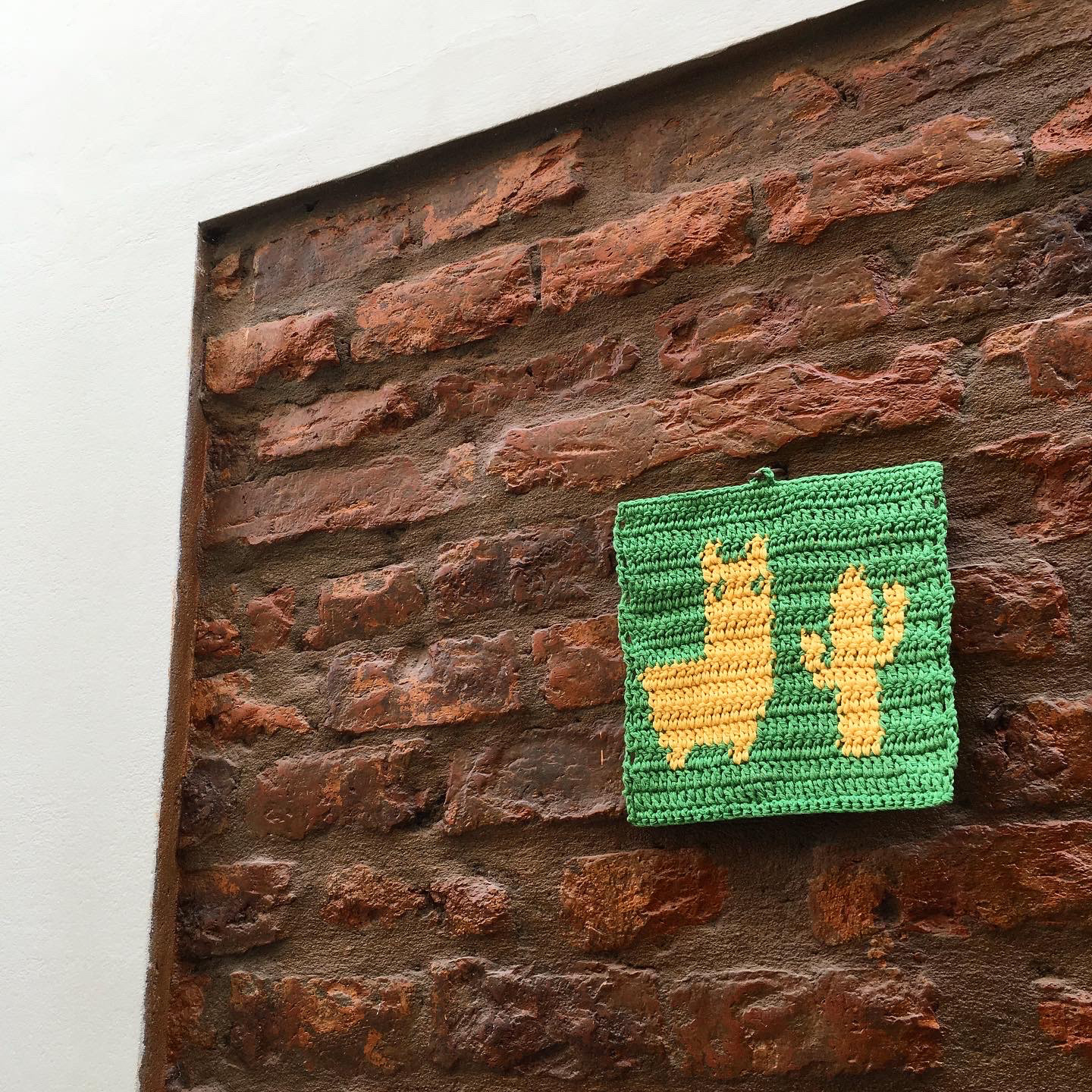 llama cactus
