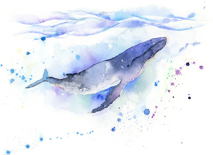 Patra Tawatpol - Whale swimming in watercolor