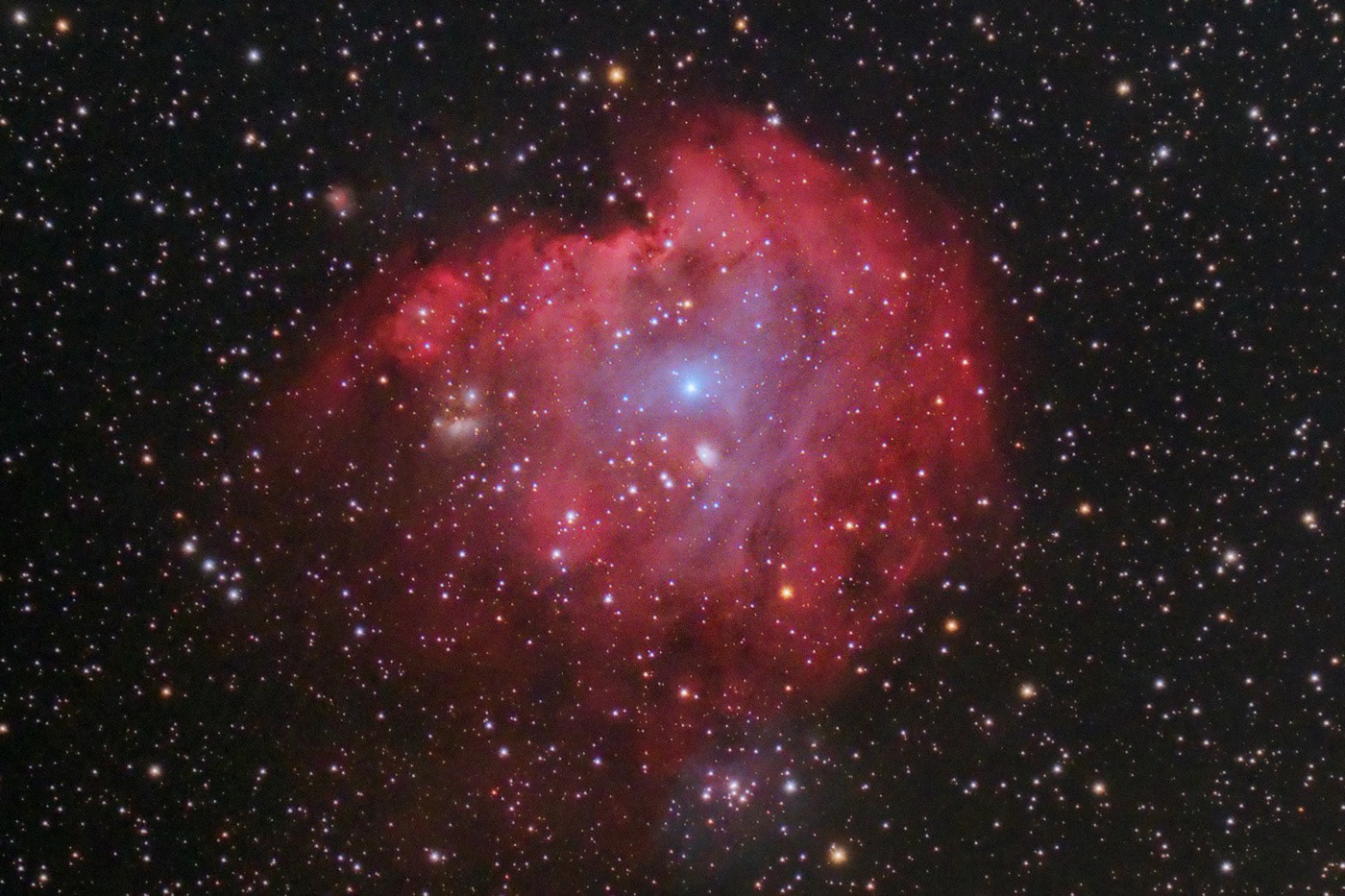 The Monkey Head Nebula