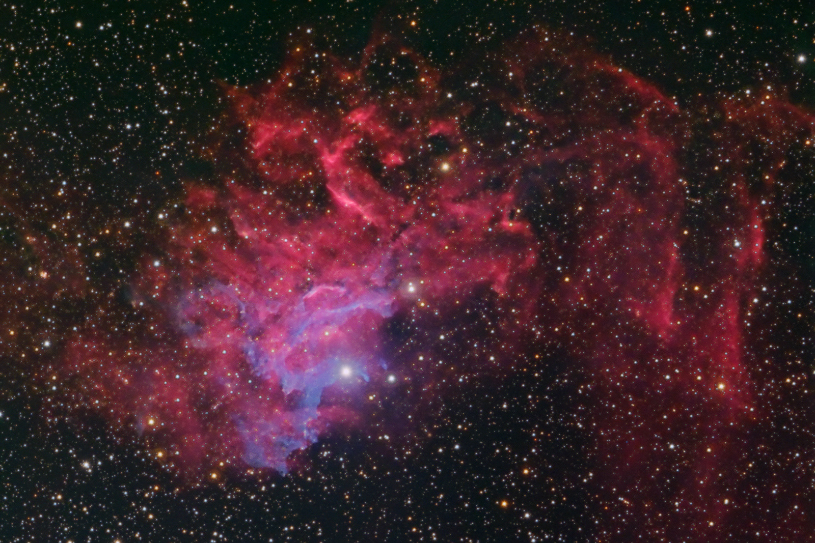 The Flaming Star Nebula