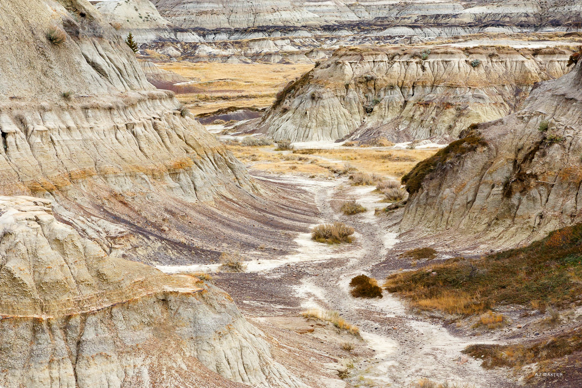 Fine art landscape image of Horseshoe Canyon in the Alberta Badlands, Canada by AJ Baxter