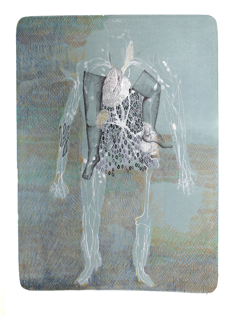 Could You Come With Me ? II (2016), stone lithograph and drawing in pencil and color pencil, unique, 85 x 63 cm