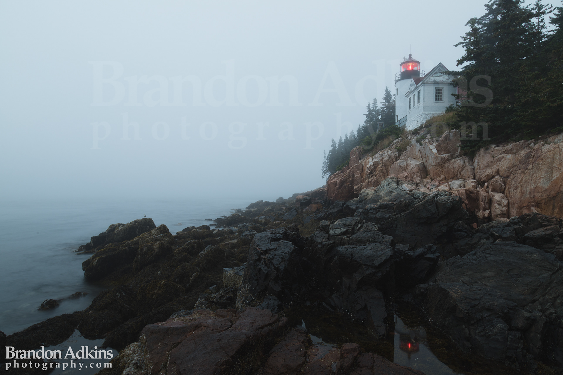 Fine art photograph of Bass Harbor Head Light on foggy morning with reflection in tidal pool in foreground in Acadia National Park, Maine