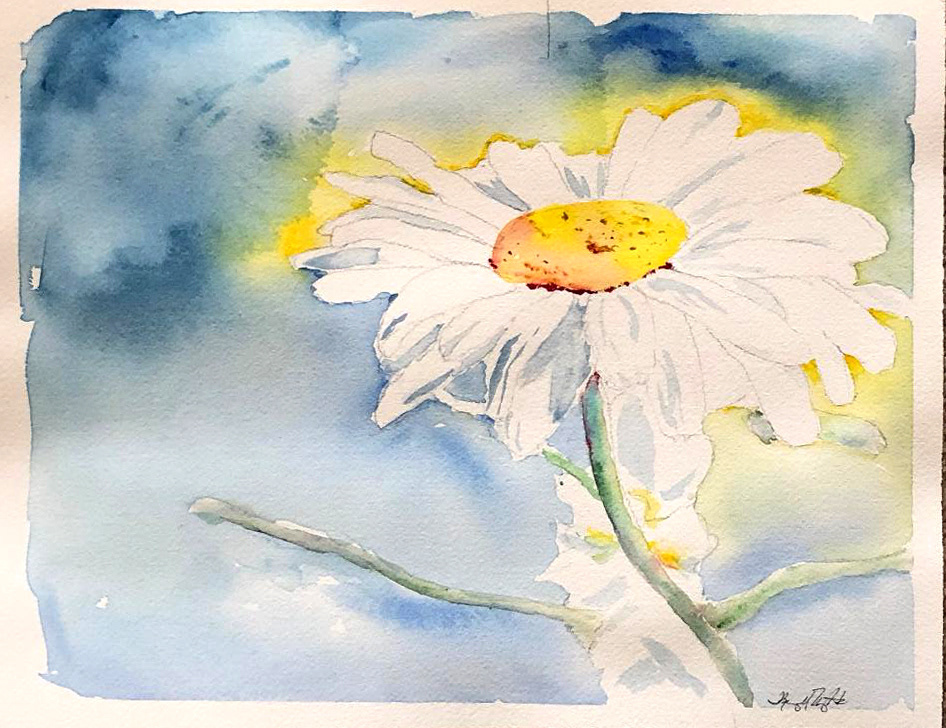 Daisy in Sunshine by Kim Imbrigiotta, NFS