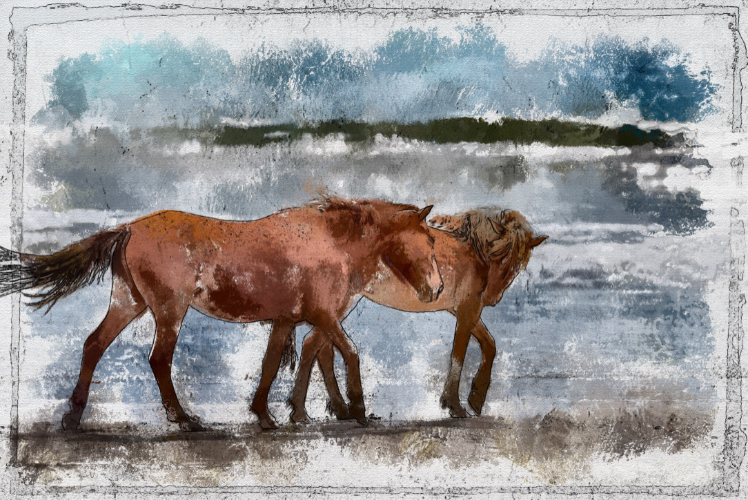 Together • Wild Horses on the Beach, Outer Banks, NC