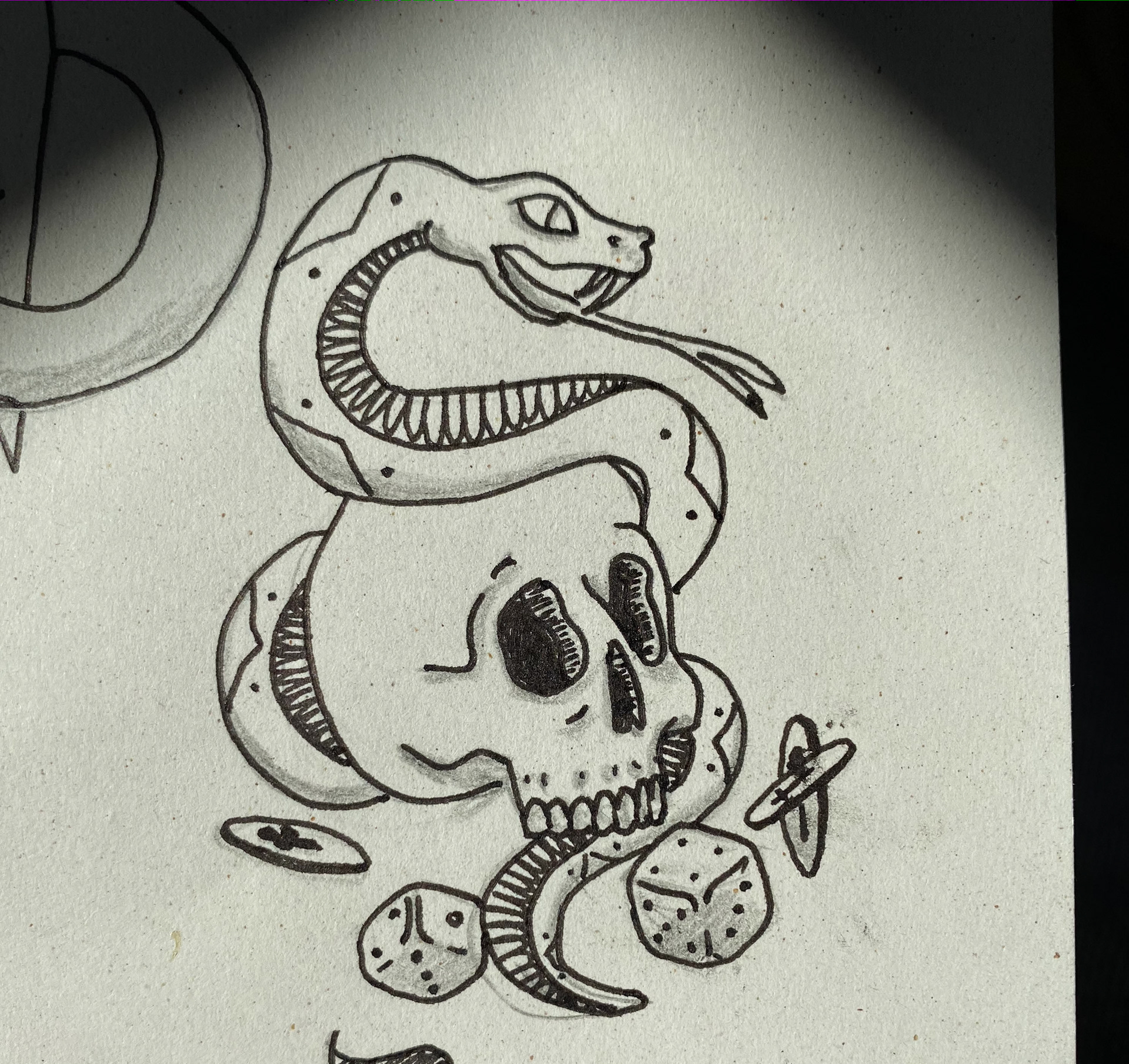 cja Art Horned Viper // Personal Project