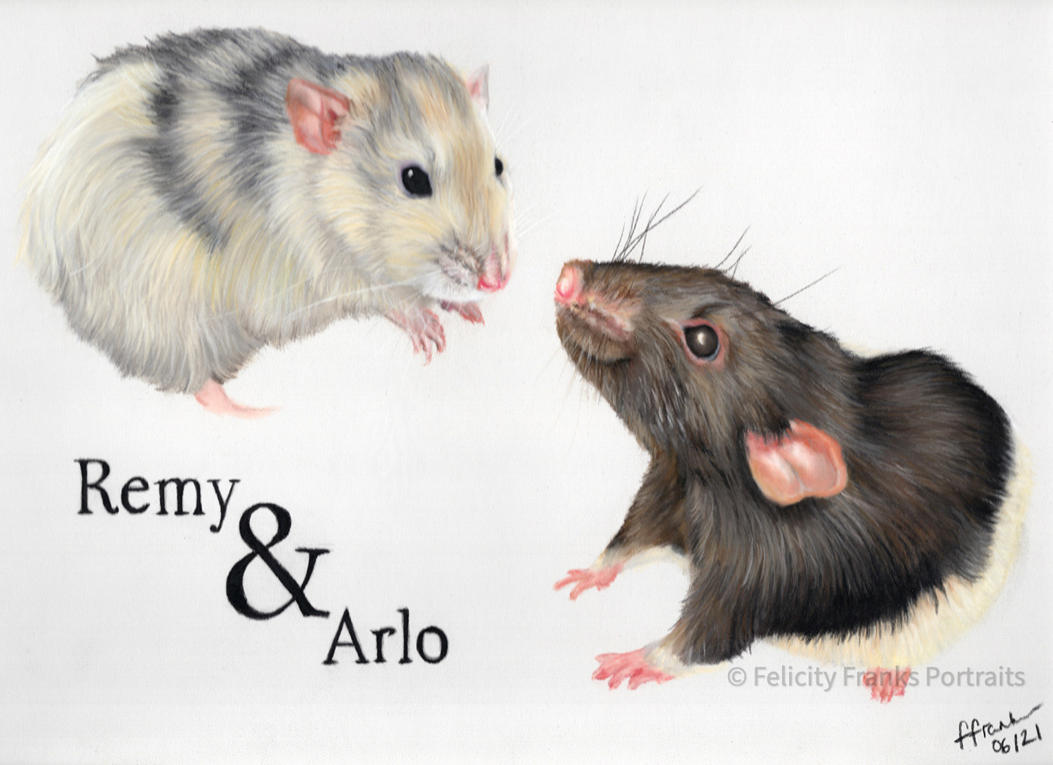 Remy and Arlo - Rats - 32 x 24 cm in Pastels