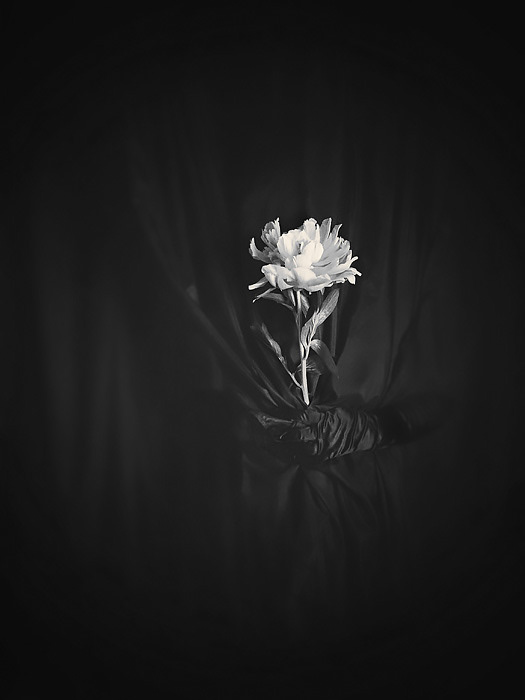 Image By Suzanne Goodwin - Almost Invisible