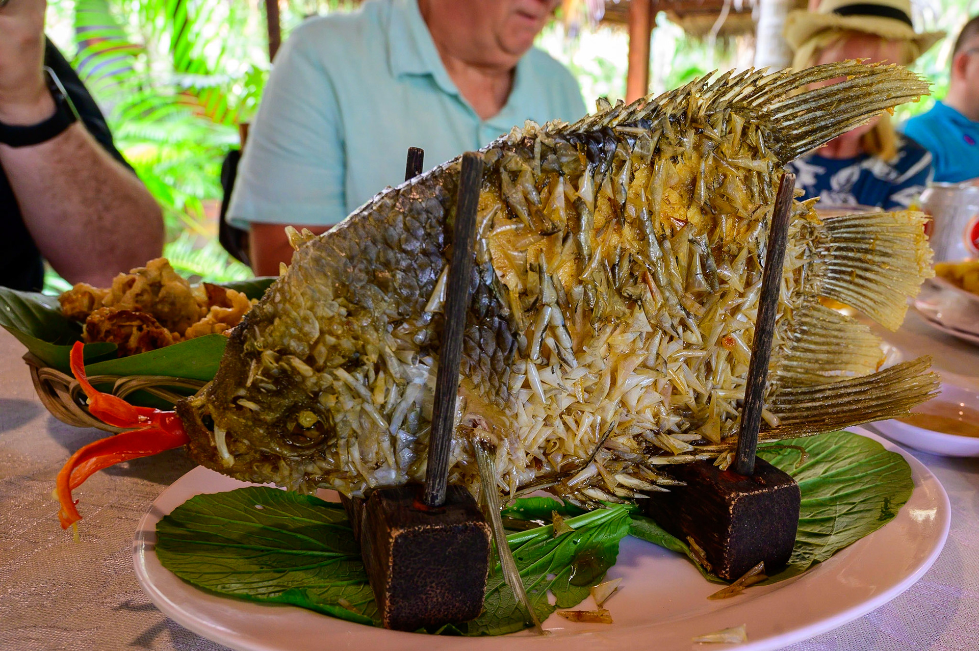 Notre dîner dans la jungle